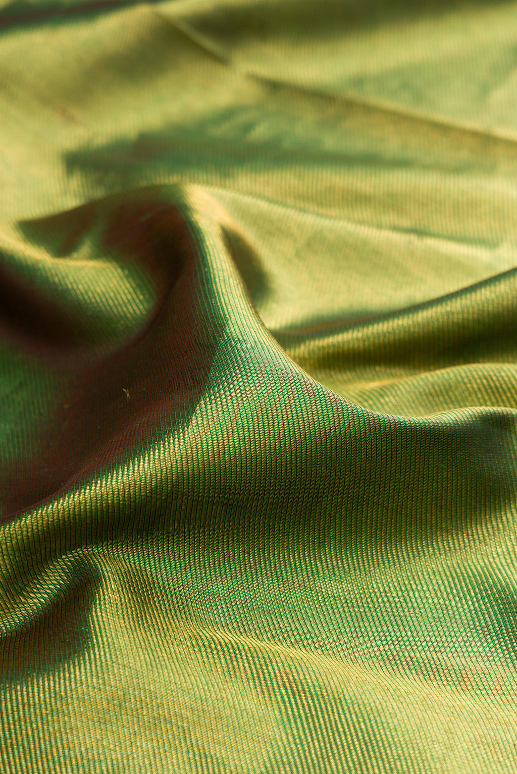 Close up of Green Kanchipuram Silk Saree with Zari Brocade on the body and Zari Border.  displaying folds