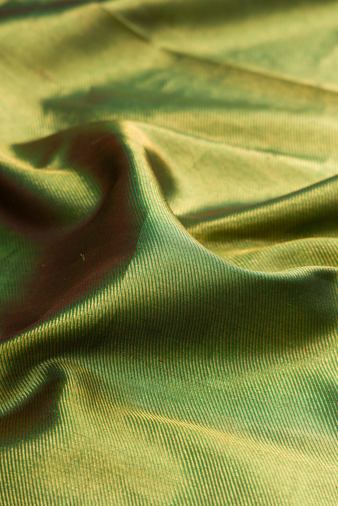 Close up of Green Kanchipuram Silk Saree with Zari Brocade on the body and Zari Border.  displaying folds