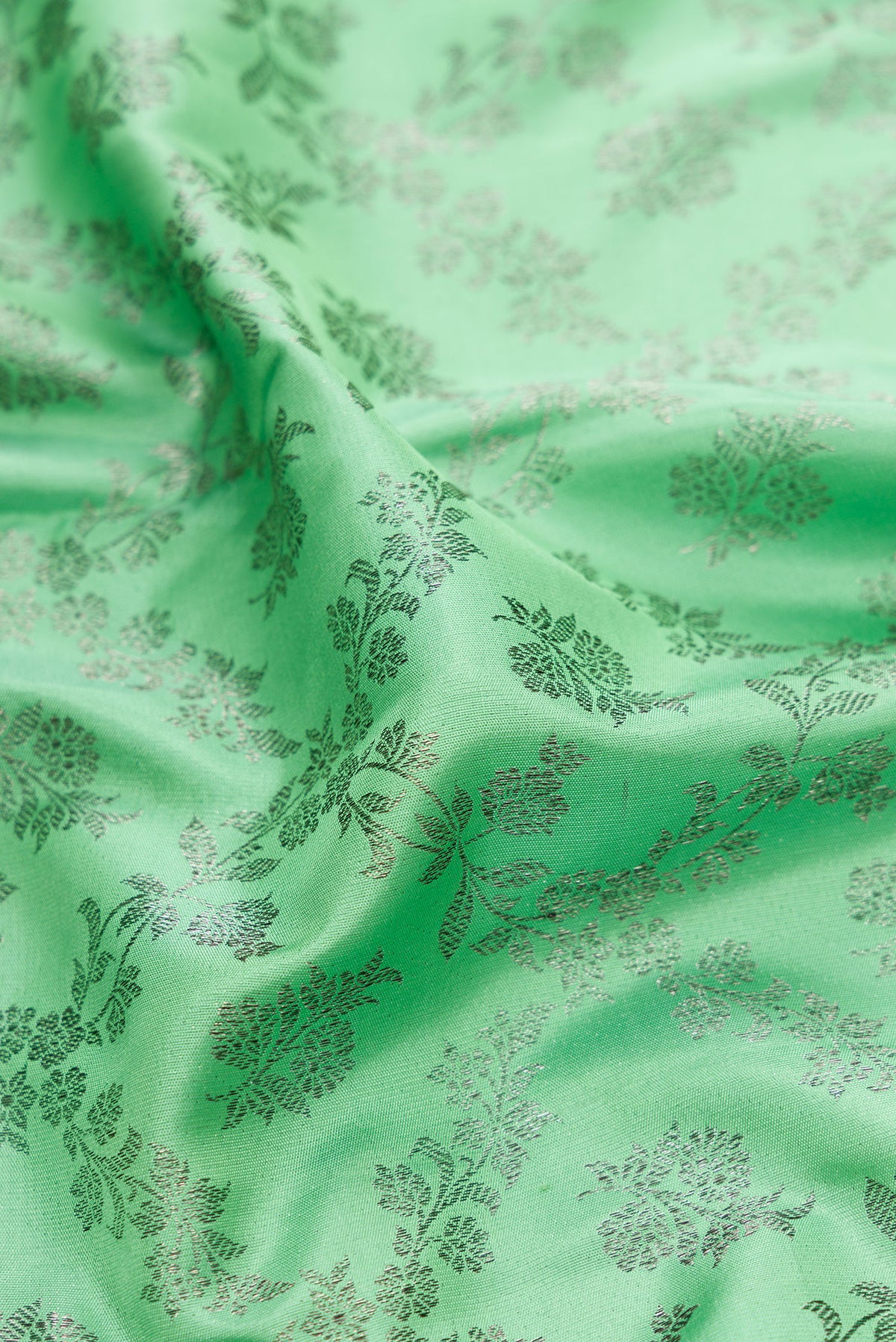 Close up of Pista Green Dual Tone Kanjivaram Silk Saree with Zari Brocade on the body and Zari Border.  displaying folds