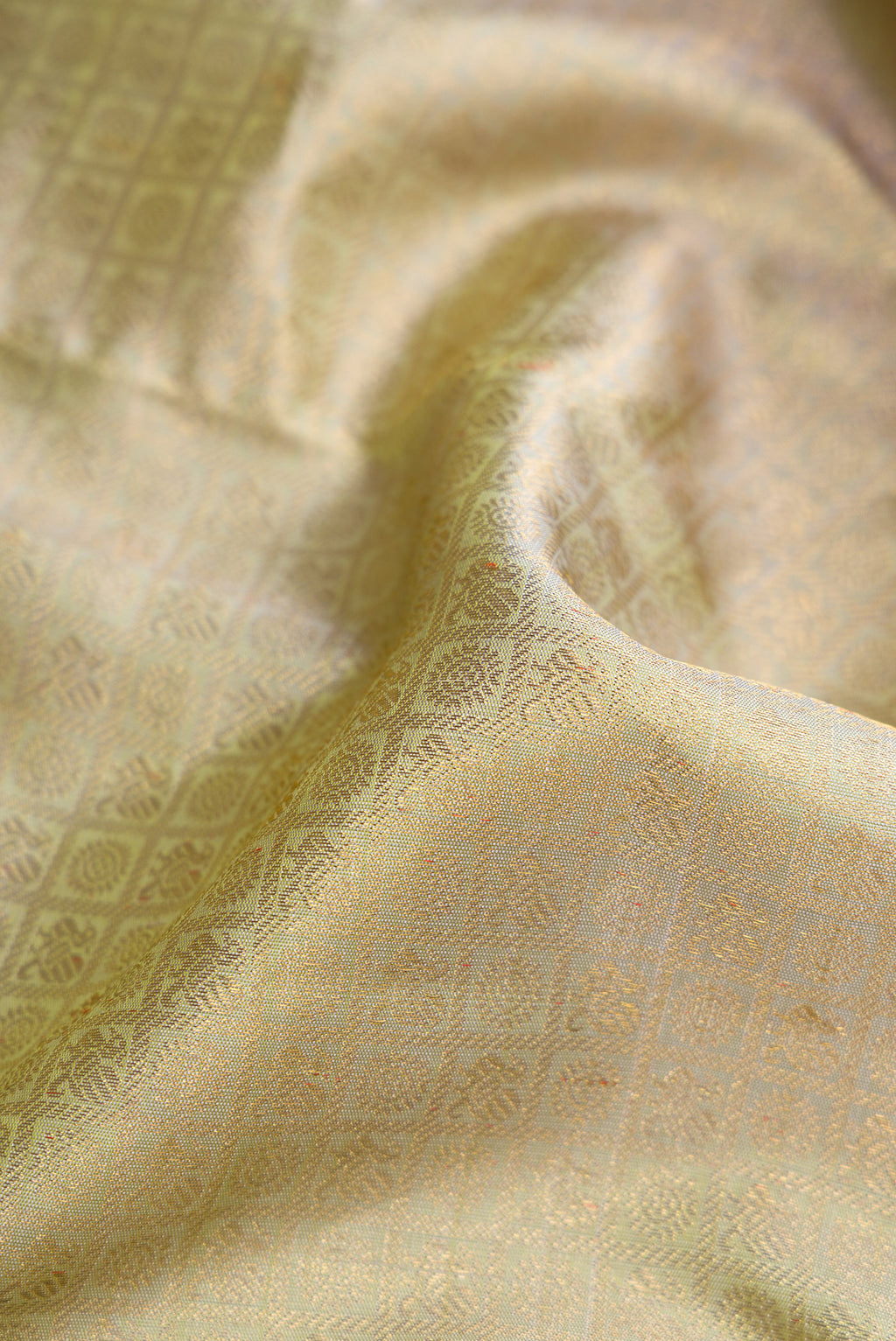 Close up of Pure Silk Pure Zari Light Green Dual Tone Kanjivaram Saree with Zari Brocade on the body and Zari Border.  displaying folds