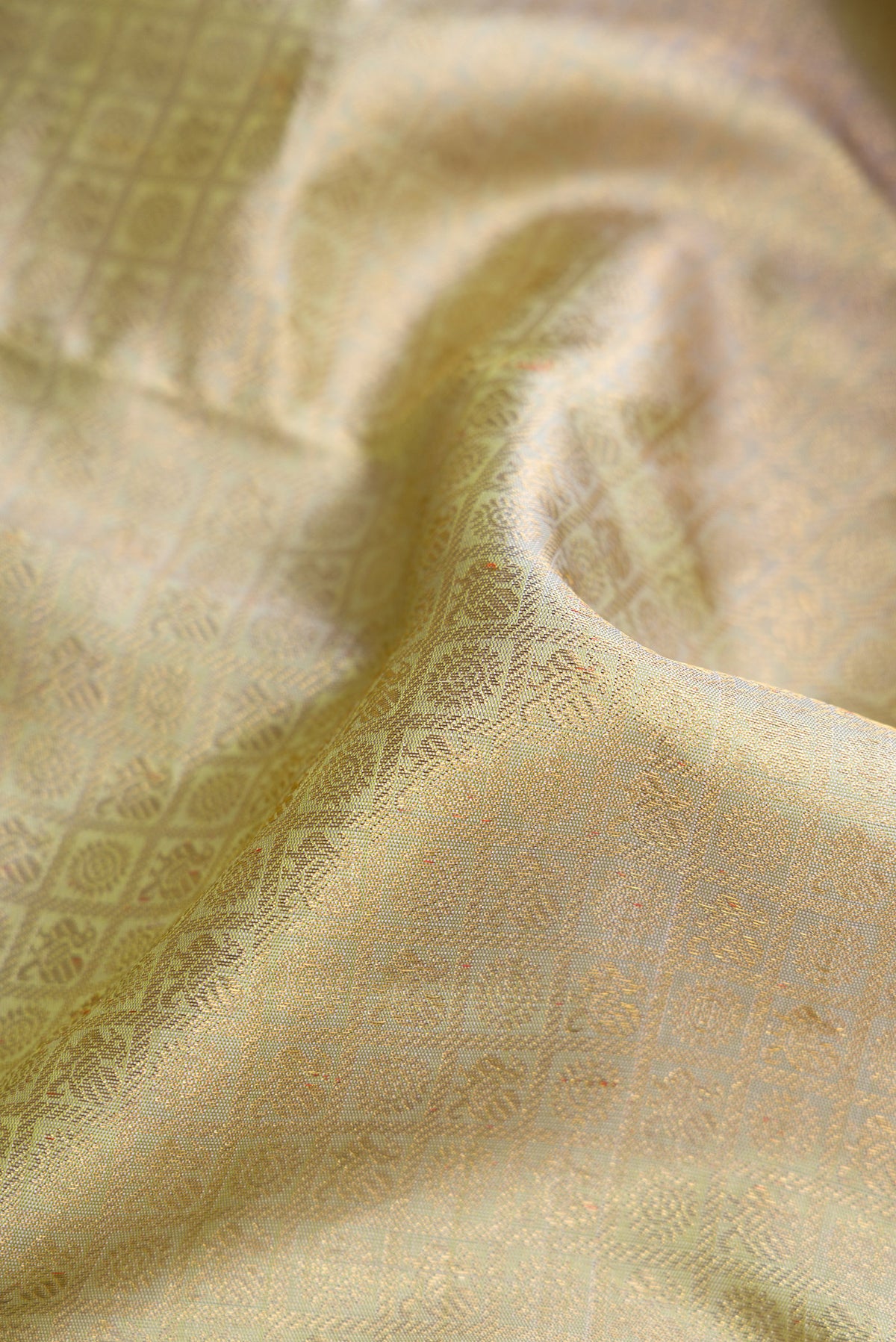 Close up of Pure Silk Pure Zari Light Green Dual Tone Kanjivaram Saree with Zari Brocade on the body and Zari Border.  displaying folds