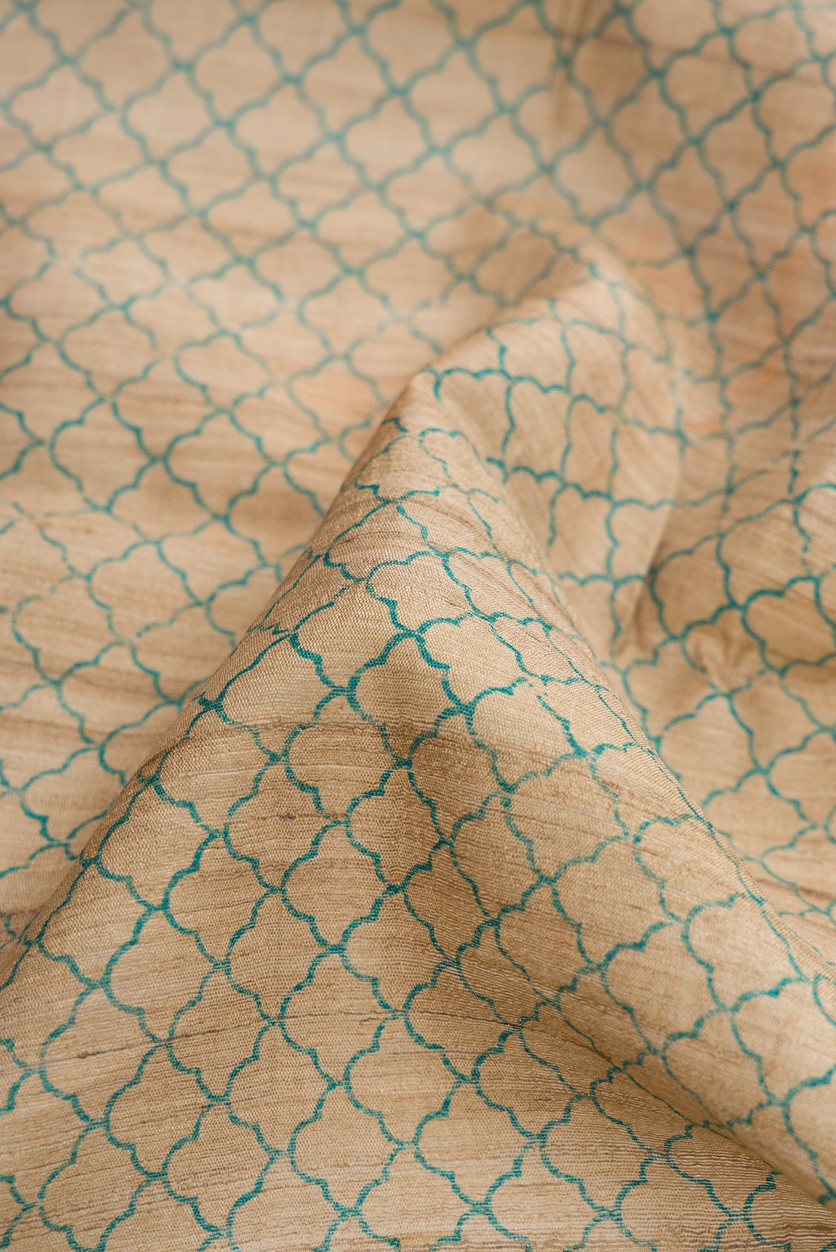 Close up of Beige Dual Tone Tussar Silk Saree with Printed design on the body and Fancy Border.  displaying folds
