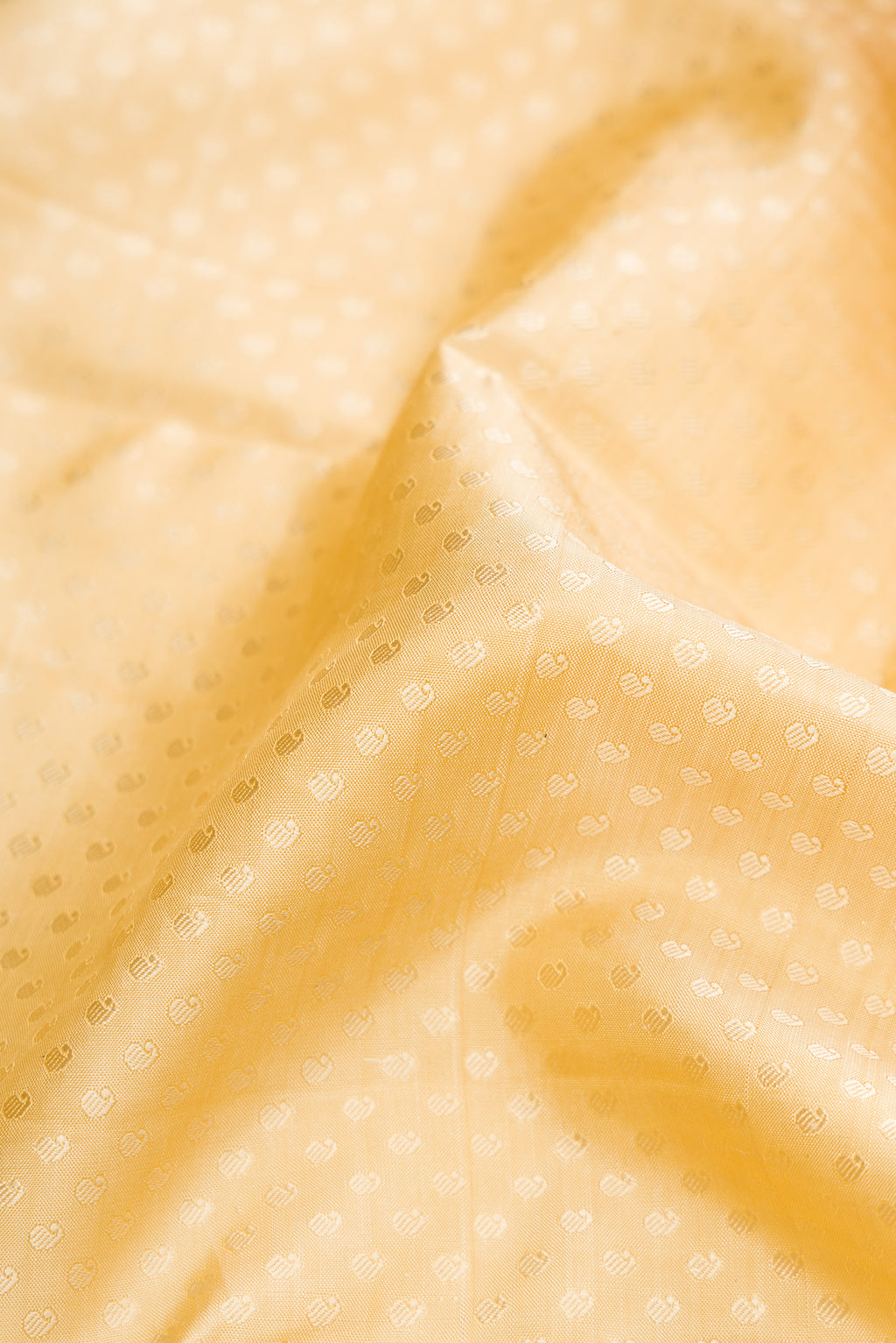 Close up of Sandal Dual Tone Kanchipuram Silk Saree with Jacquard design on the body and Zari Border.  displaying folds