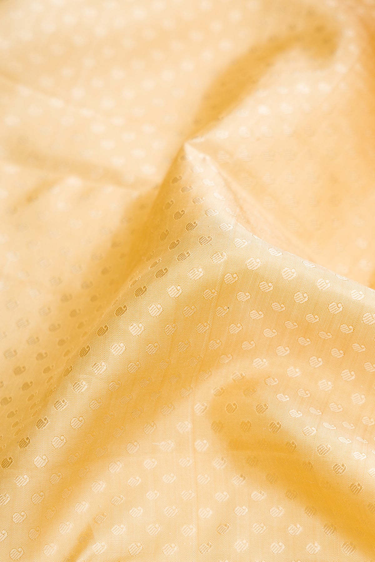 Close up of Sandal Dual Tone Kanchipuram Silk Saree with Jacquard design on the body and Zari Border.  displaying folds