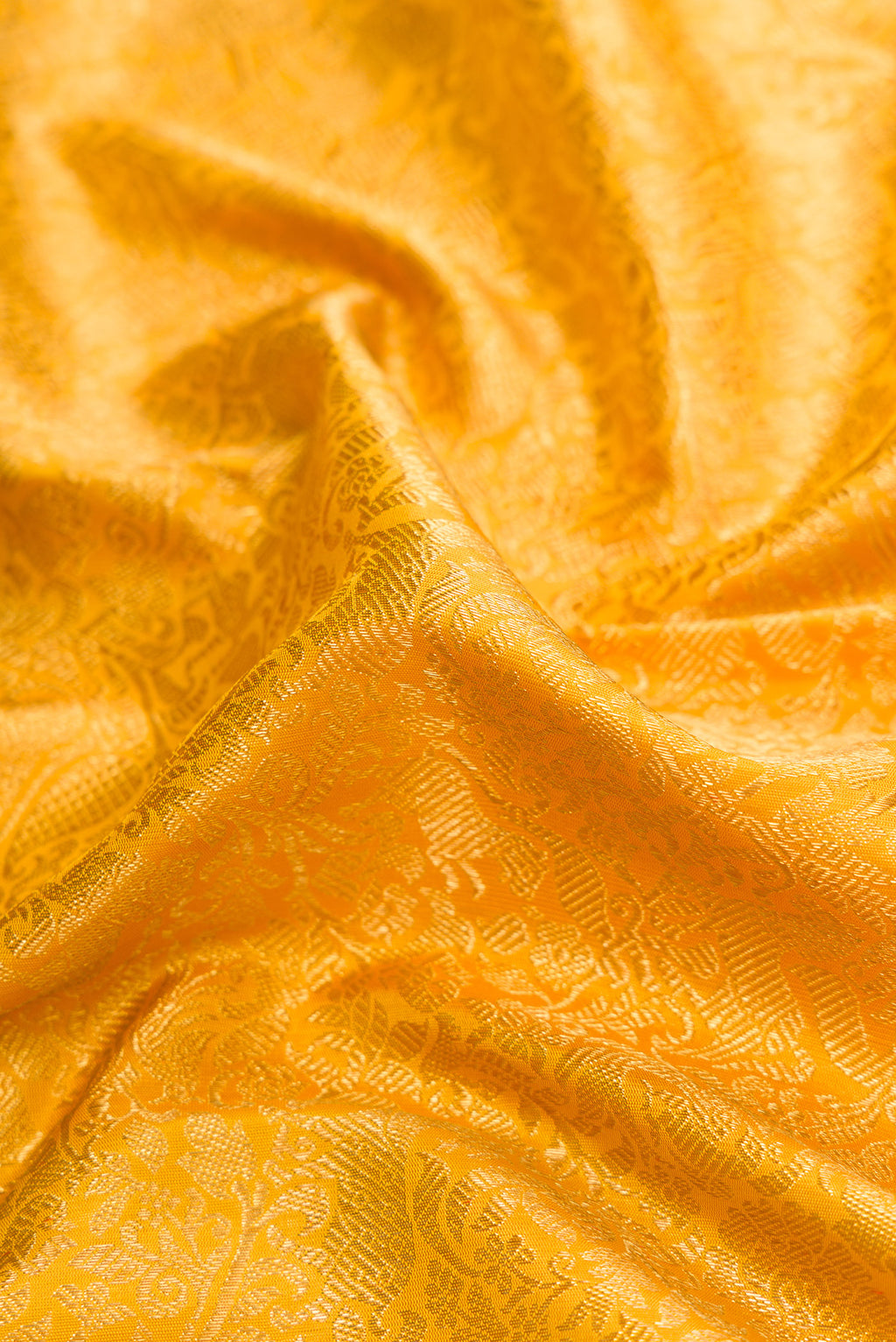 Close up of Pure Silk Pure Zari Gold Dual Tone Kanjivaram Saree with Zari Brocade on the body and Zari Border.  displaying folds