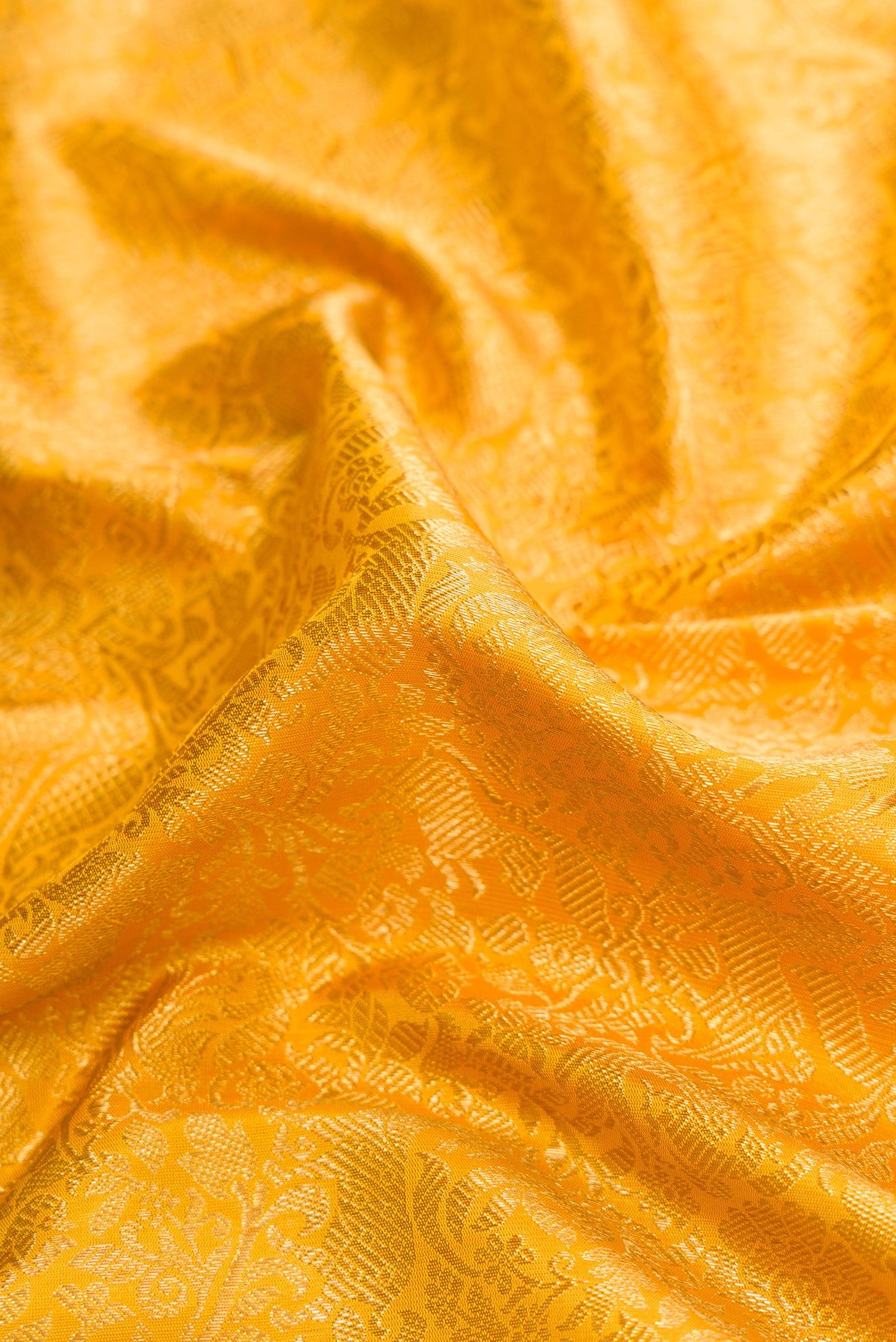 Close up of Pure Silk Pure Zari Gold Dual Tone Kanjivaram Saree with Zari Brocade on the body and Zari Border.  displaying folds