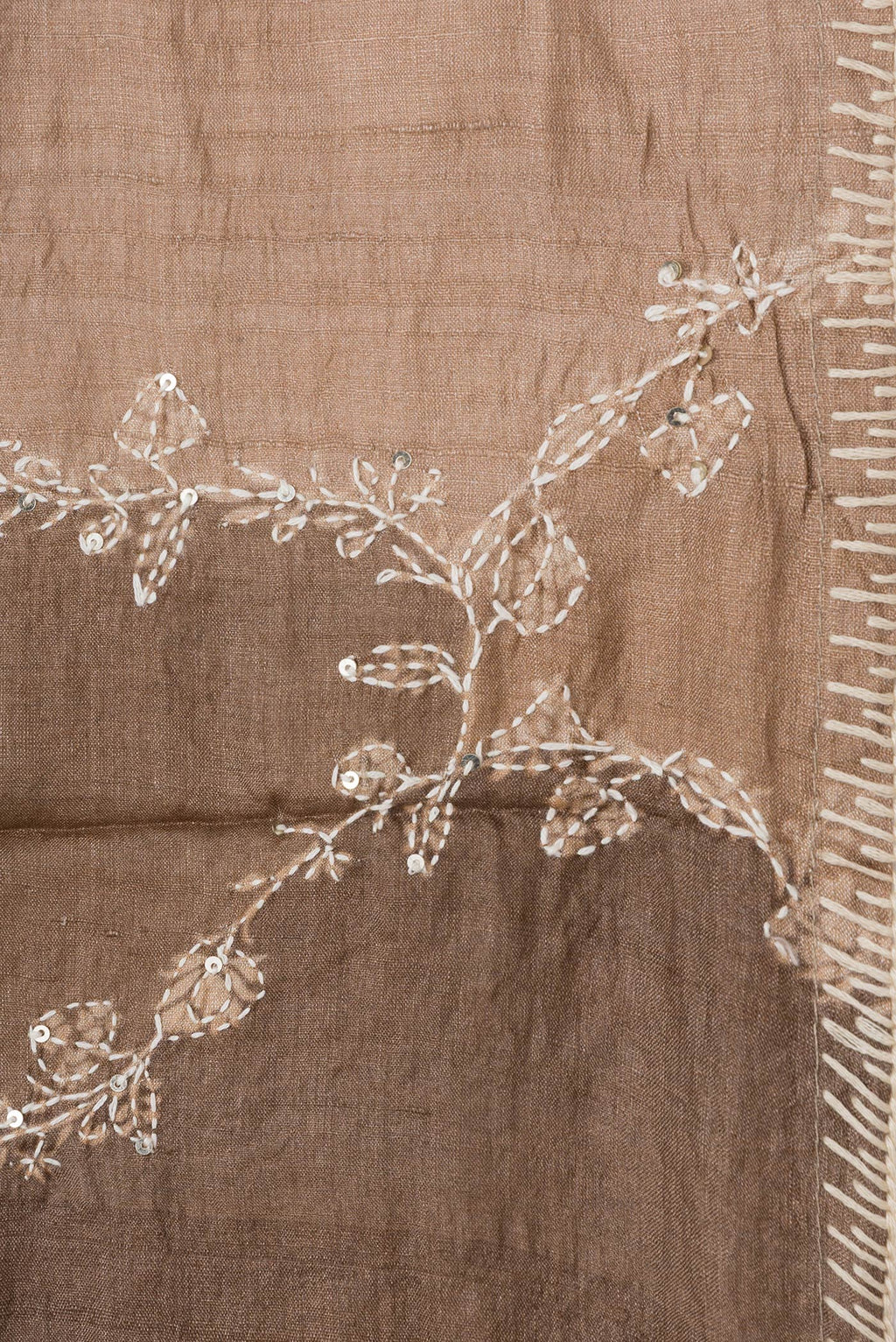 Border image of Brown Dual Tone Tussar Silk Saree with Embroidery on the body and Embroidery Border. 