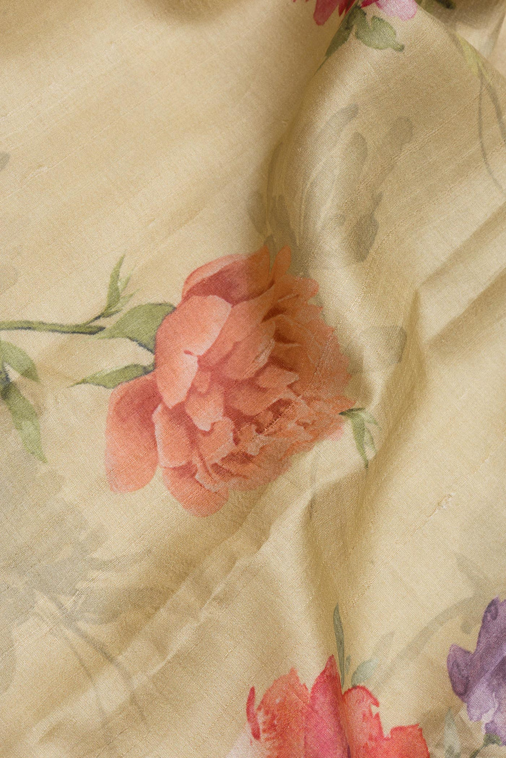 Close up of Sandal Dual Tone Tussar Silk Saree with Printed design on the body and Embroidery Border.  displaying folds
