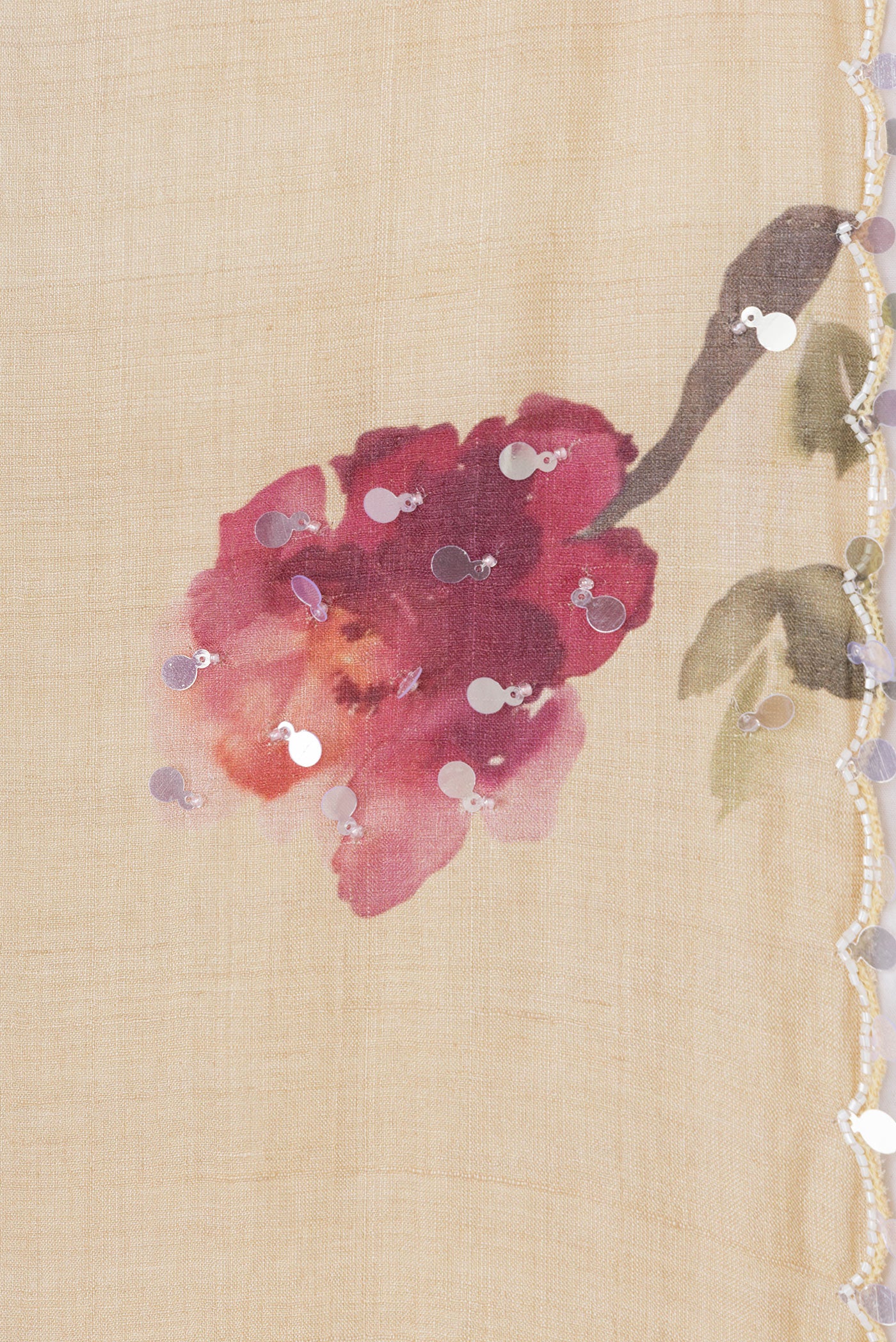 Border image of Beige Dual Tone Tussar Silk Saree with Embroidery on the body and Embroidery Border. 