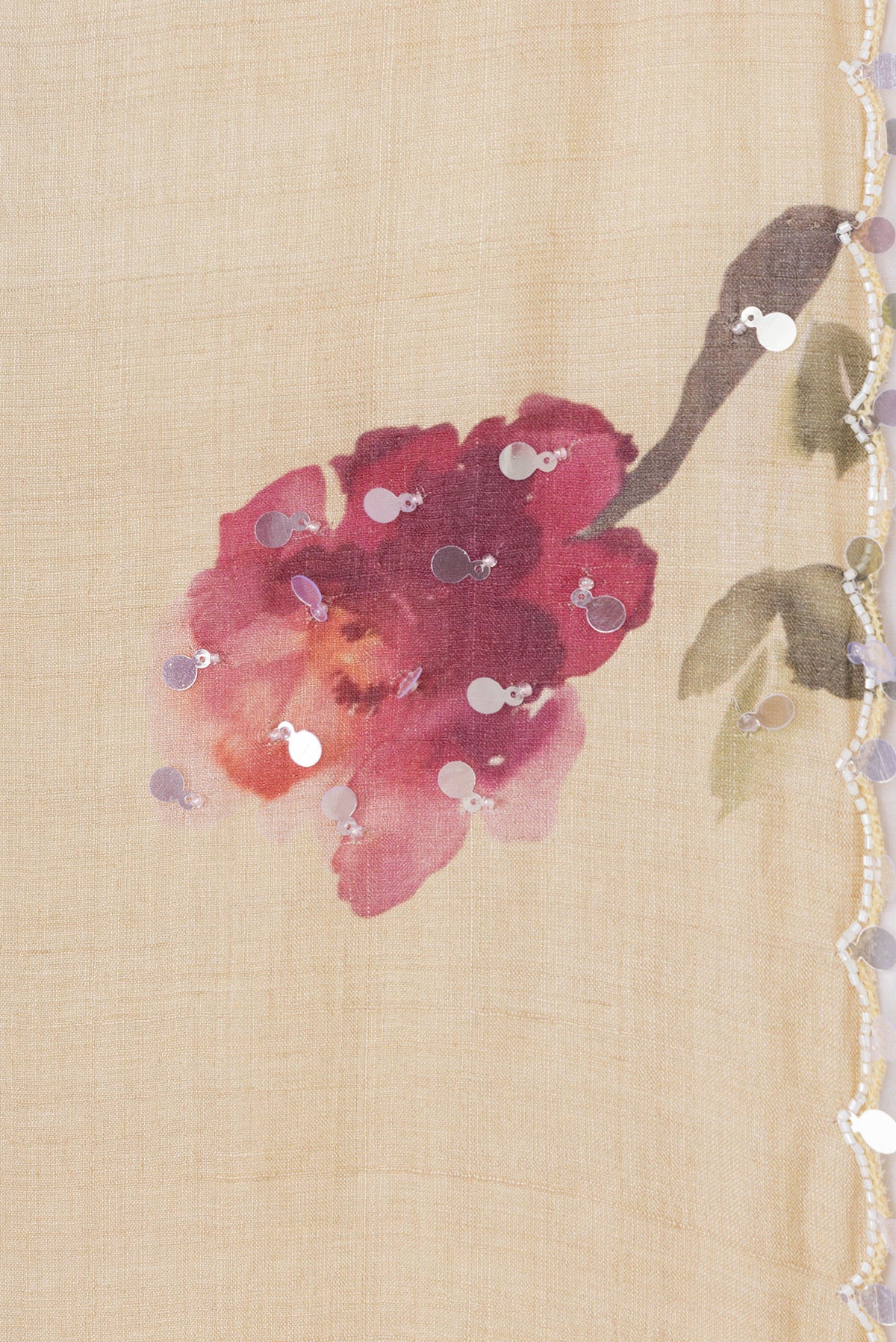 Border image of Beige Dual Tone Tussar Silk Saree with Embroidery on the body and Embroidery Border. 