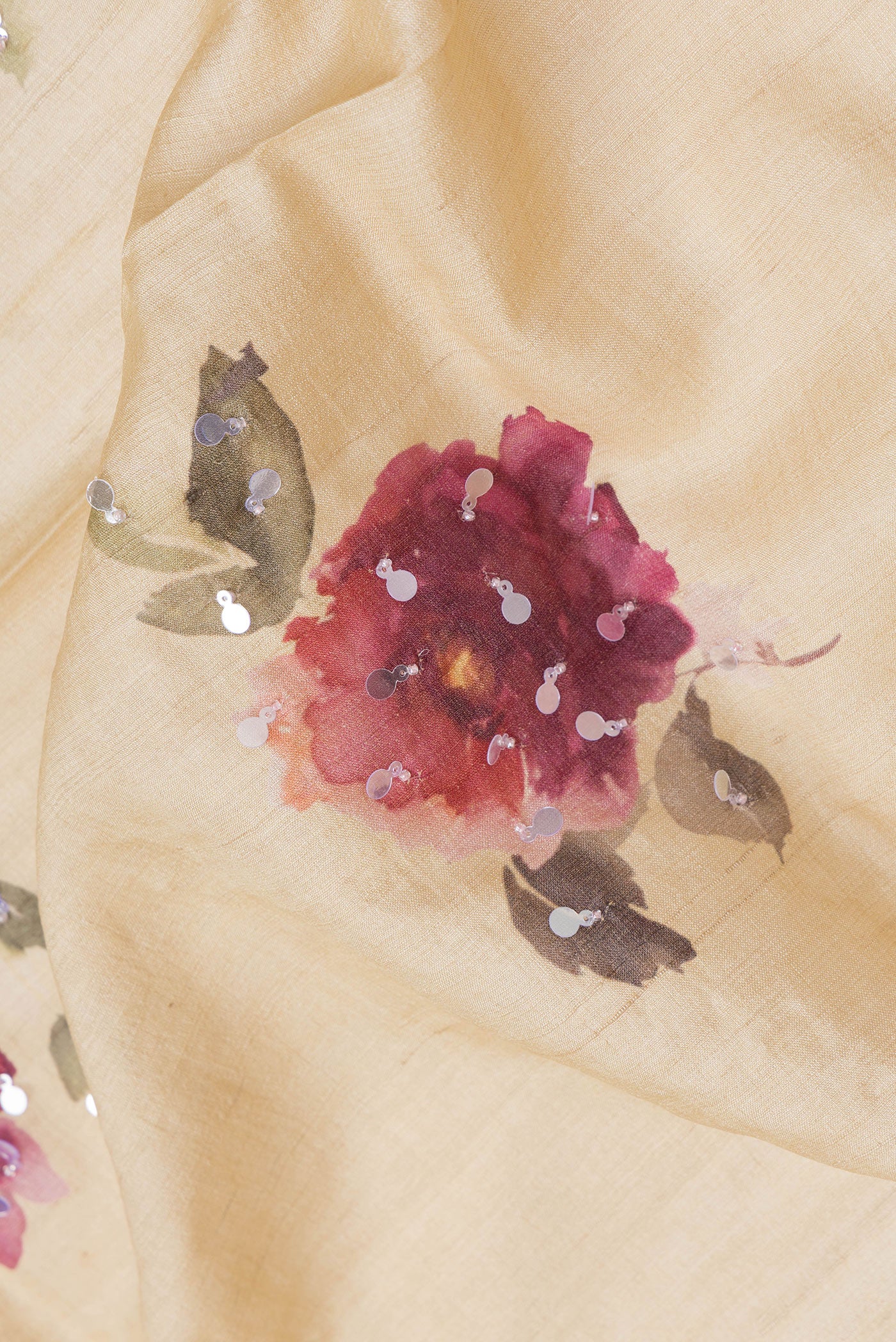 Close up of Beige Dual Tone Tussar Silk Saree with Embroidery on the body and Embroidery Border.  displaying folds