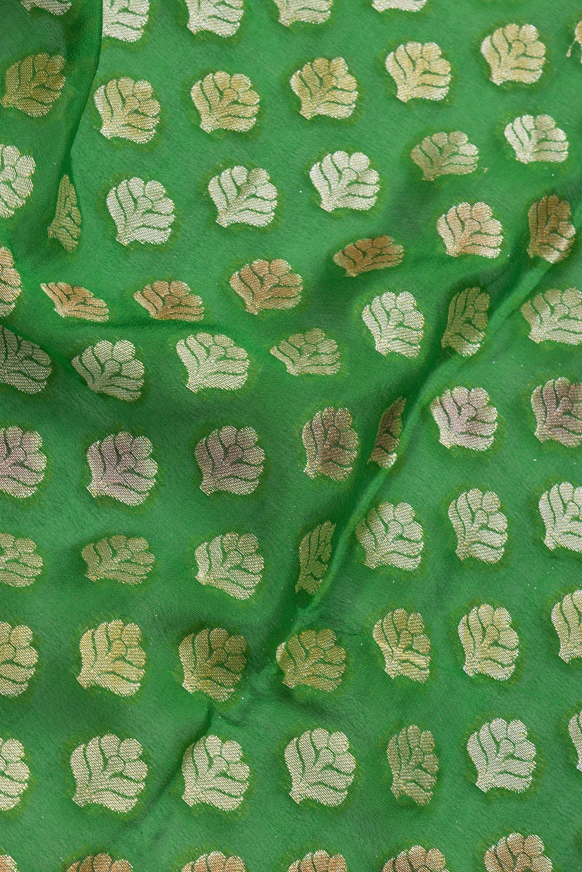 Close up of Parrot Green Dual Tone Mysore Georgette Saree with Zari Brocade on the body and Thread Border.  displaying folds