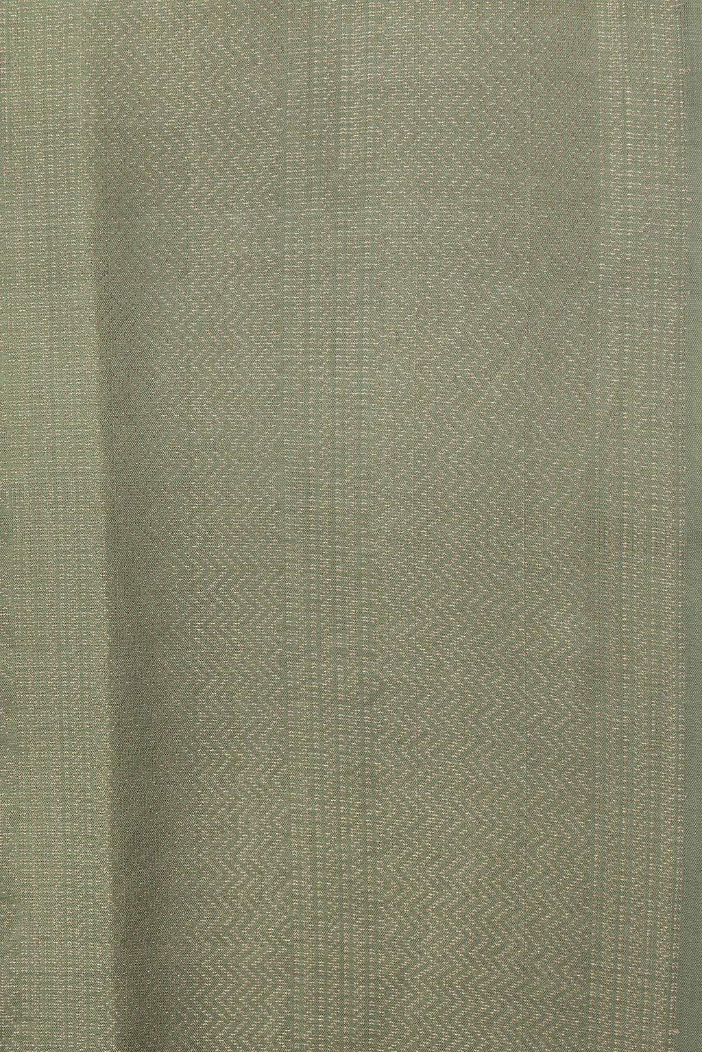 Border image of Pista Green Dual Tone Soft Silk Saree with Zari Brocade on the body and Zari Border. 