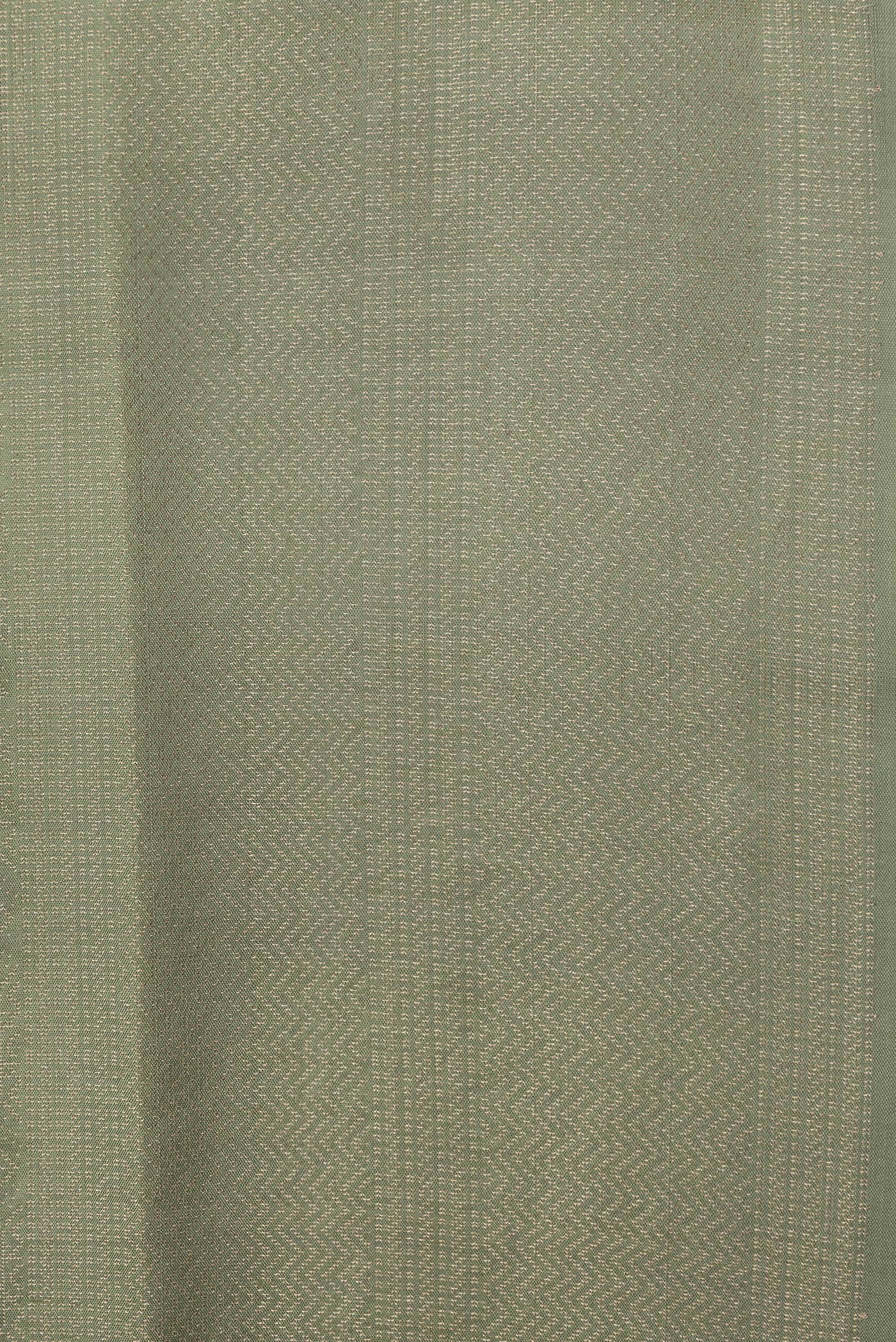 Border image of Pista Green Dual Tone Soft Silk Saree with Zari Brocade on the body and Zari Border. 