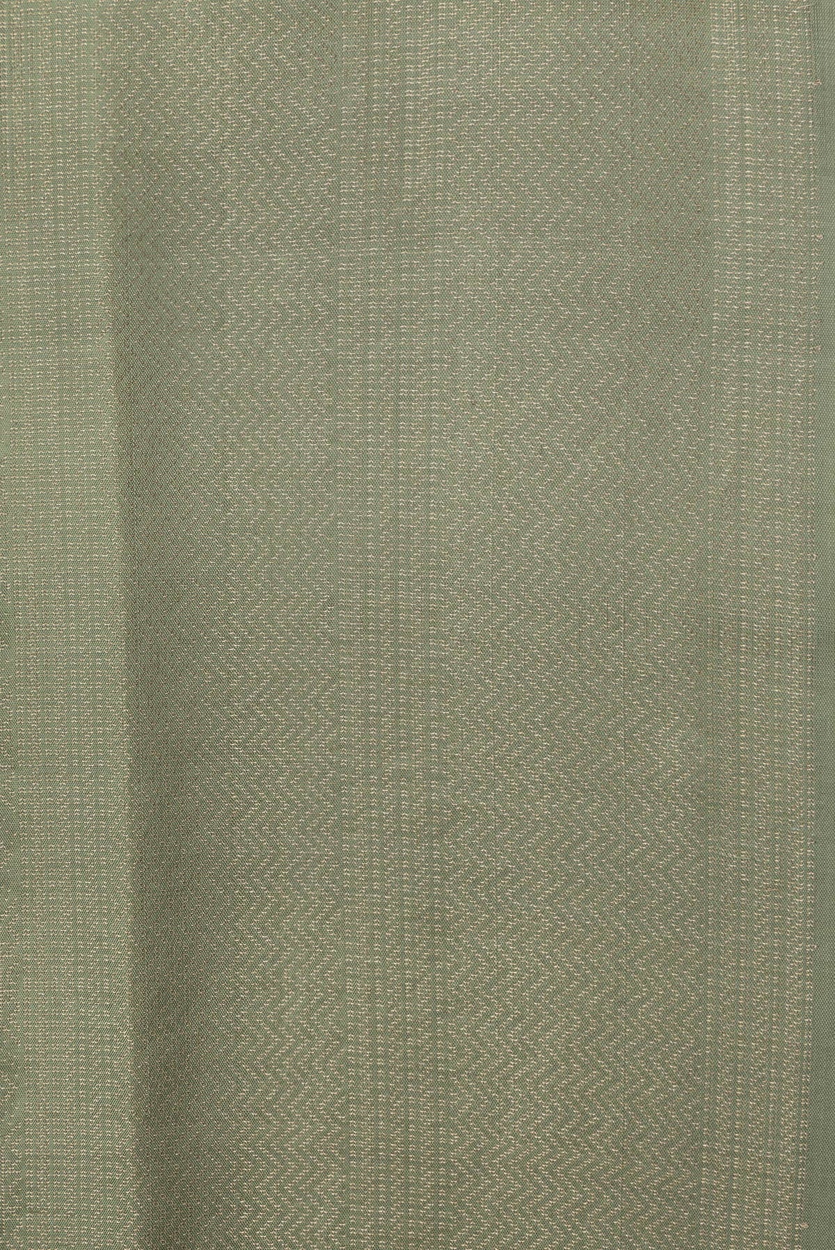 Border image of Pista Green Dual Tone Soft Silk Saree with Zari Brocade on the body and Zari Border. 