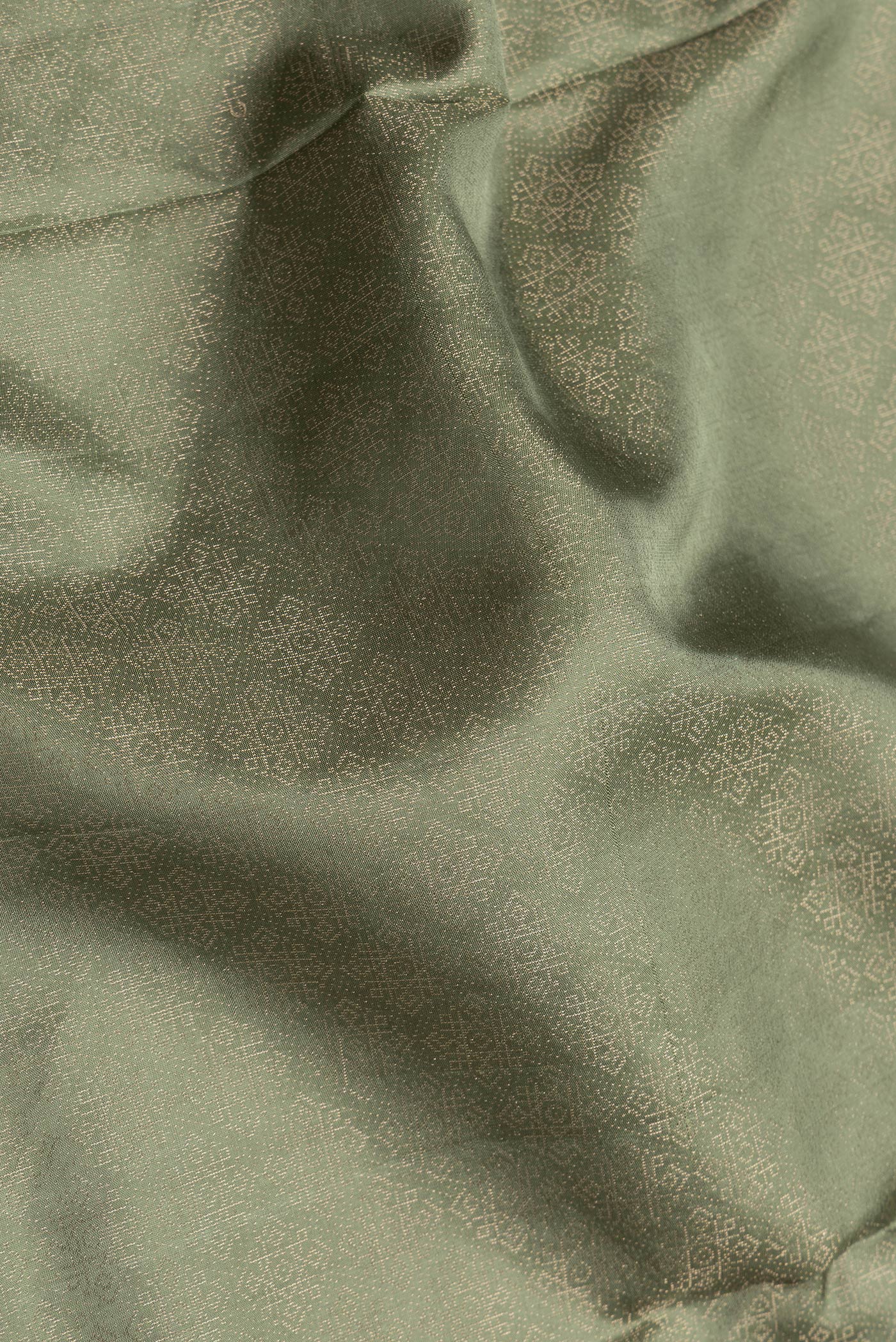 Close up of Pista Green Dual Tone Soft Silk Saree with Zari Brocade on the body and Zari Border.  displaying folds