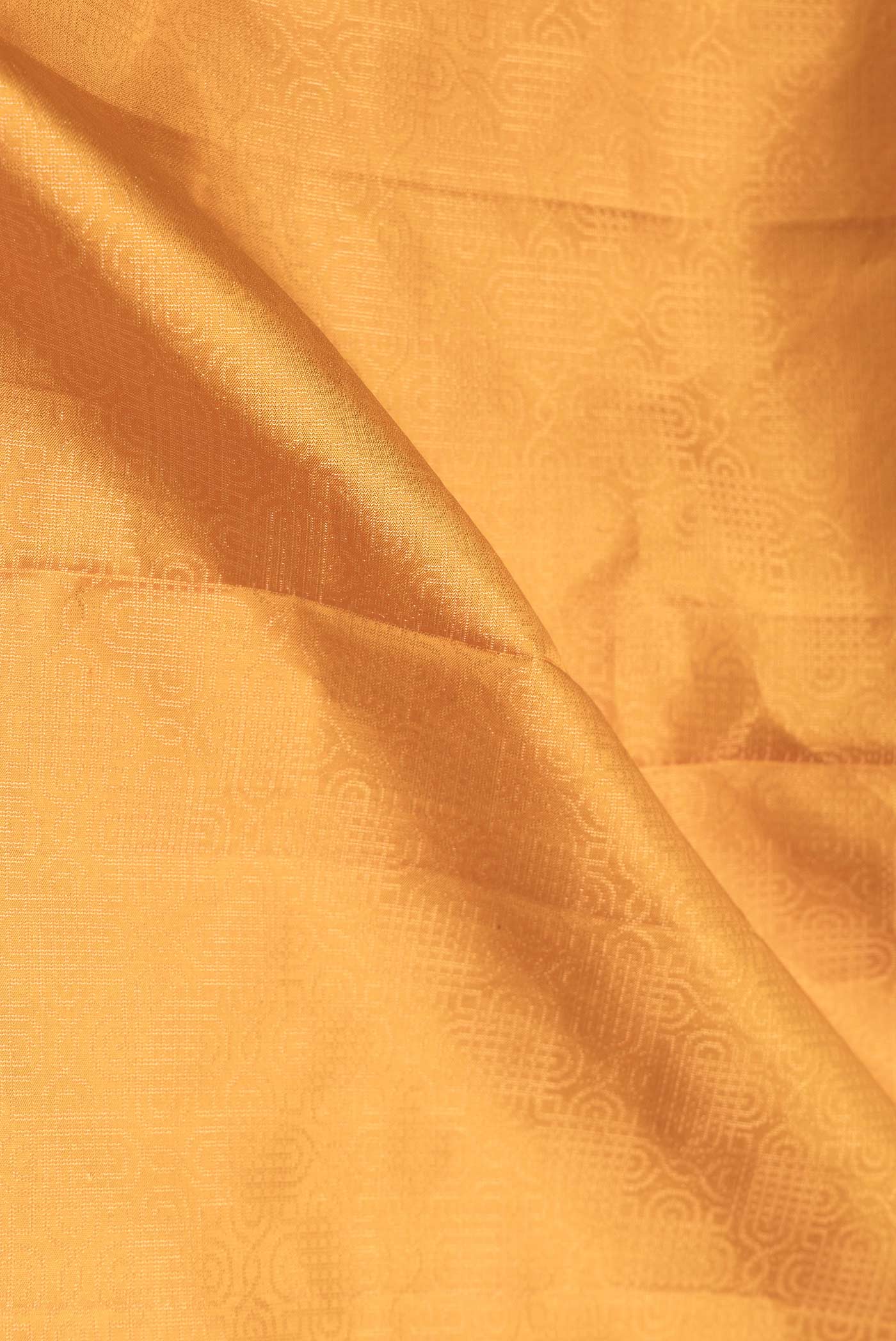 Close up of Mustard Dual Tone Soft Silk Saree with Zari Brocade on the body and Zari Border.  displaying folds