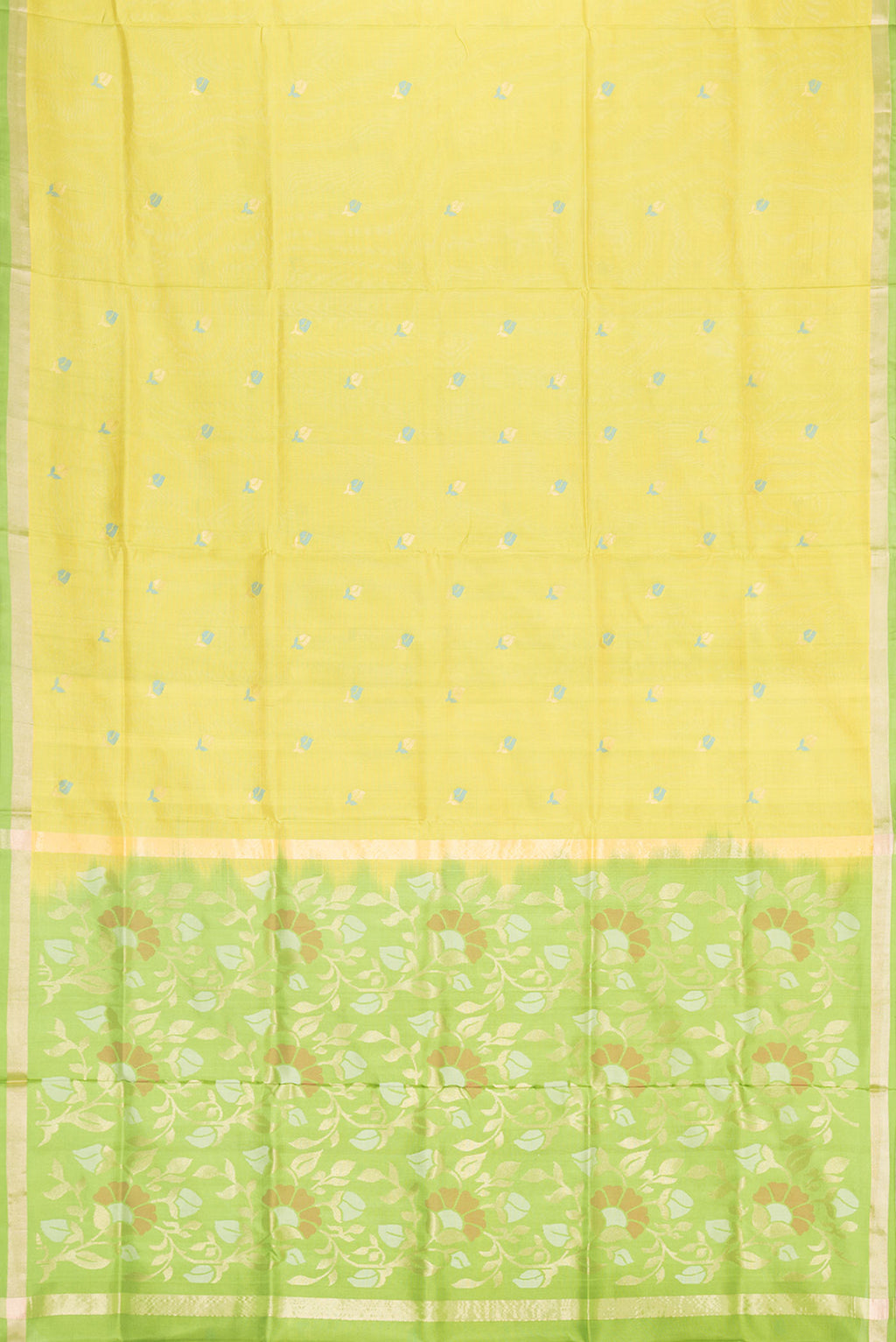 pallu body