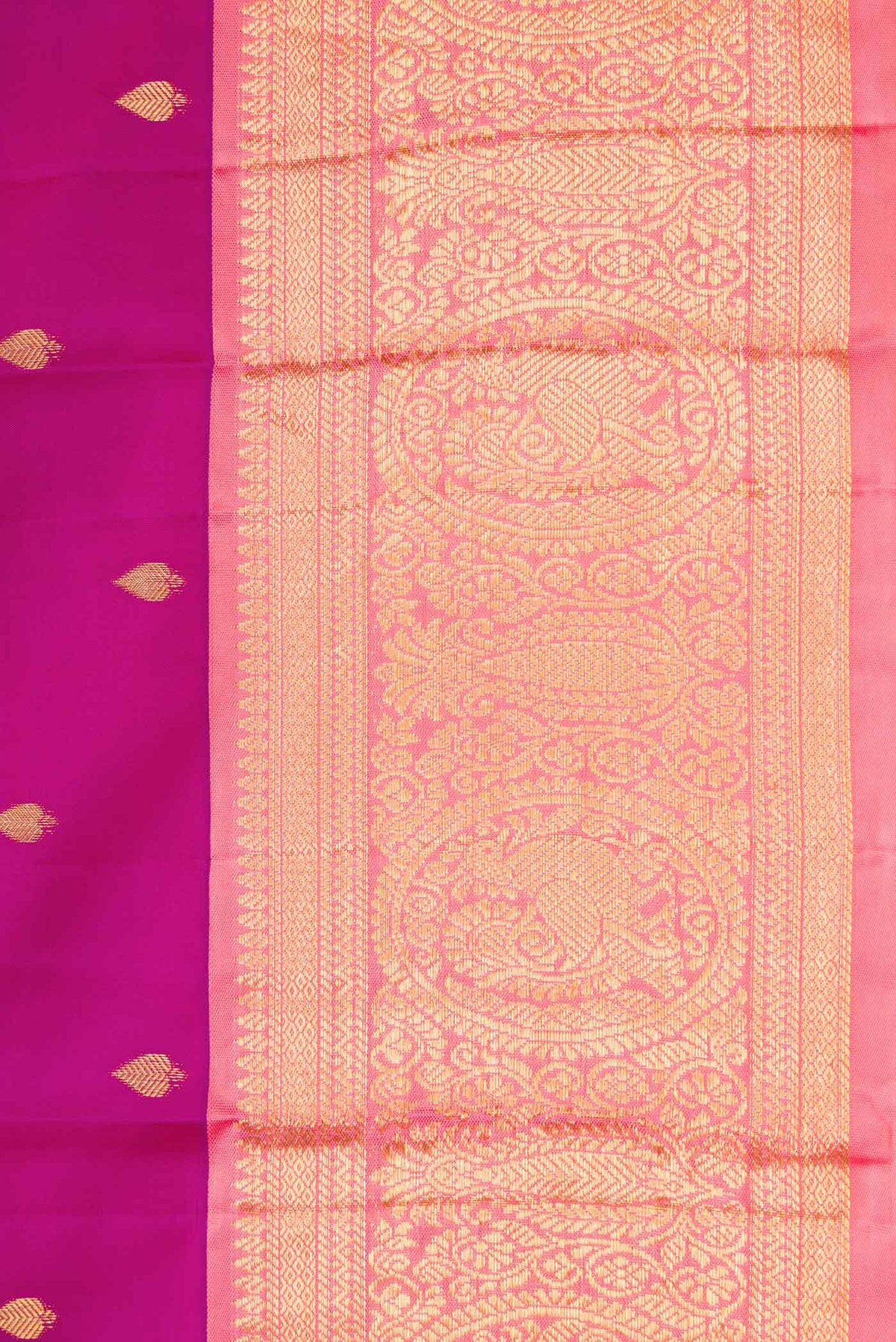 Border image of Magenta Dual Tone Kanchipuram Silk Saree with Zari Butta on the body and Zari Border