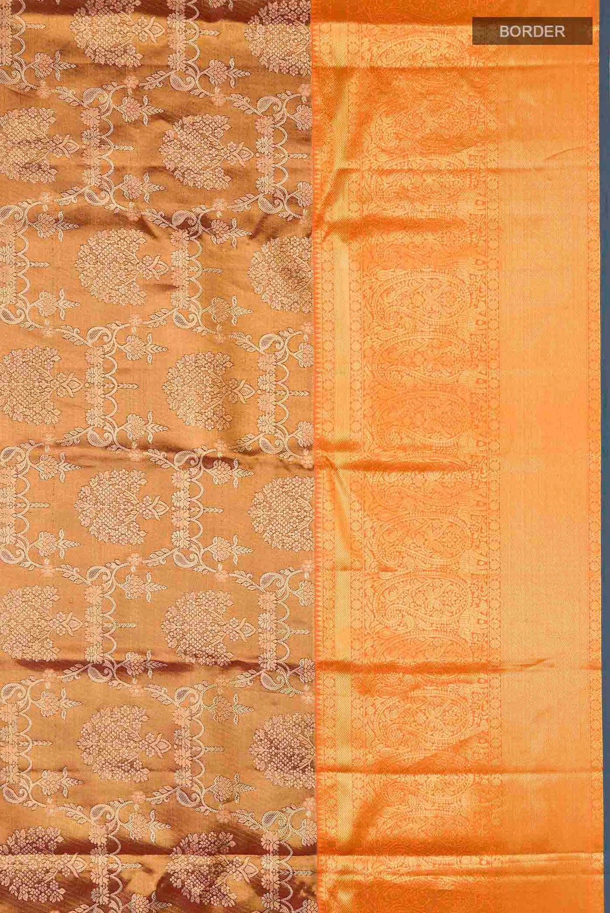 Border image of Multicolor Kanchipuram Tissue Silk Saree with Zari Brocade on the body and Zari Border