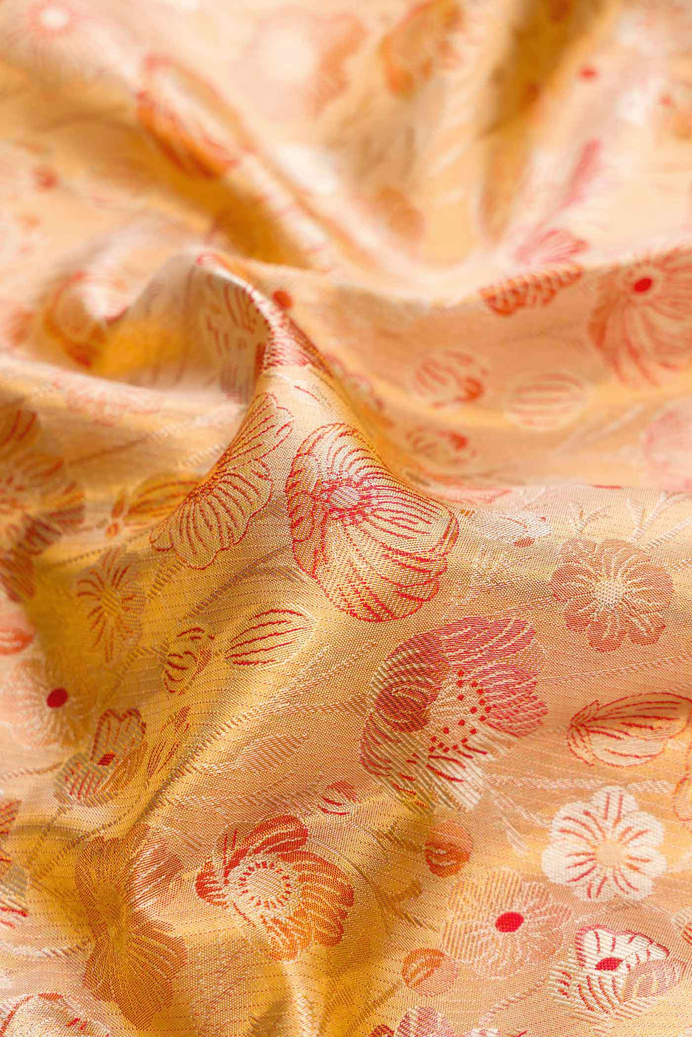 Close up of Gold Dual Tone Kanchipuram Tissue Silk Saree with Zari Brocade on the body and Zari Border.  displaying folds