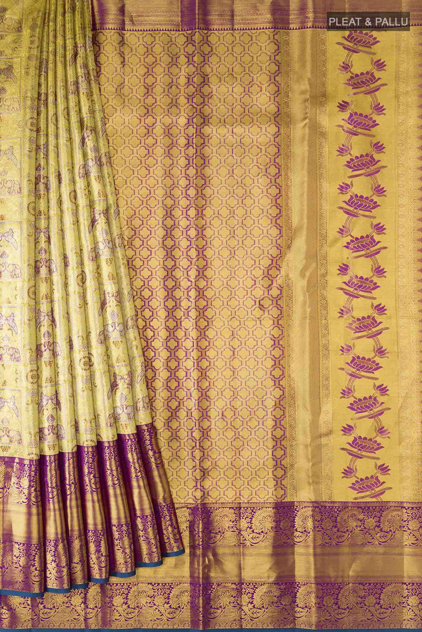 pleats pallu