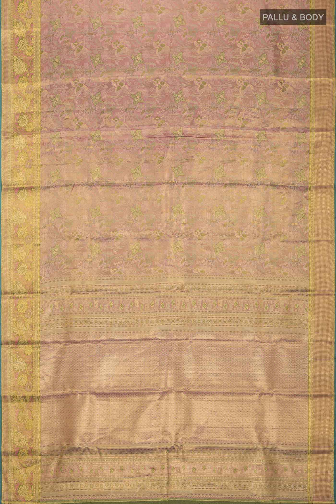 pallu body