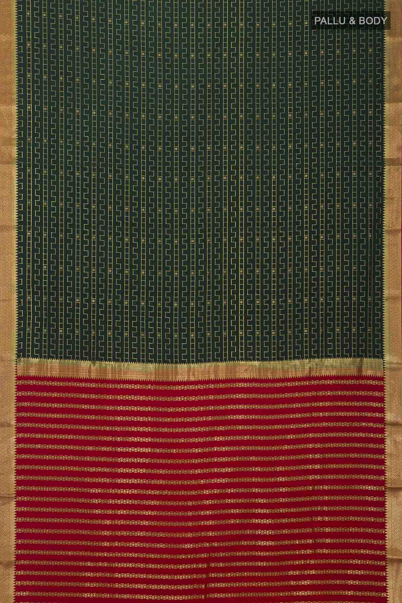 pallu body