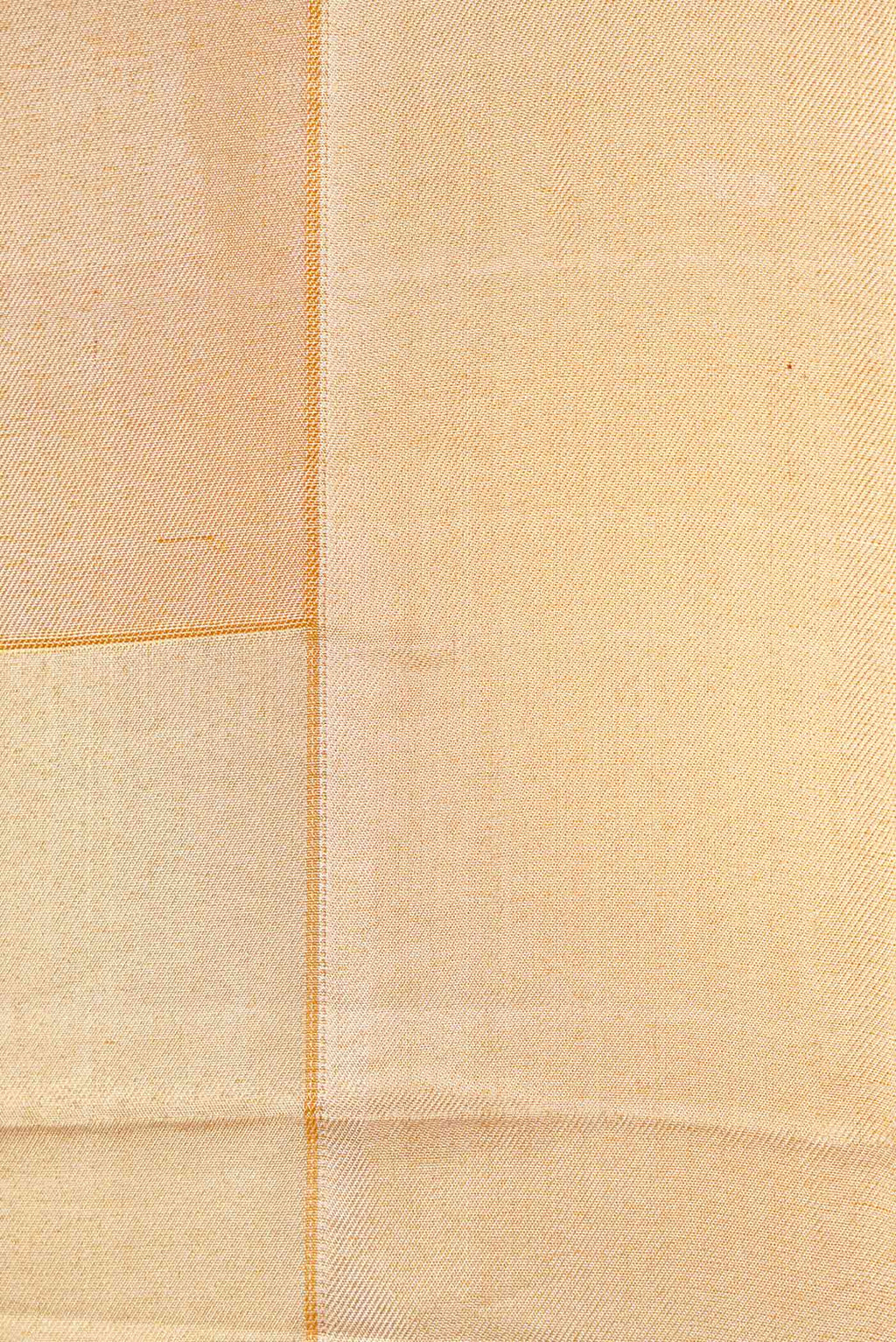 Border image of Gold Dual Tone Kanchipuram Silk Saree with Zari Brocade on the body and Zari Border