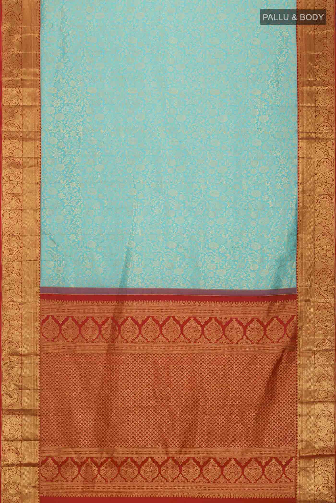 pallu body