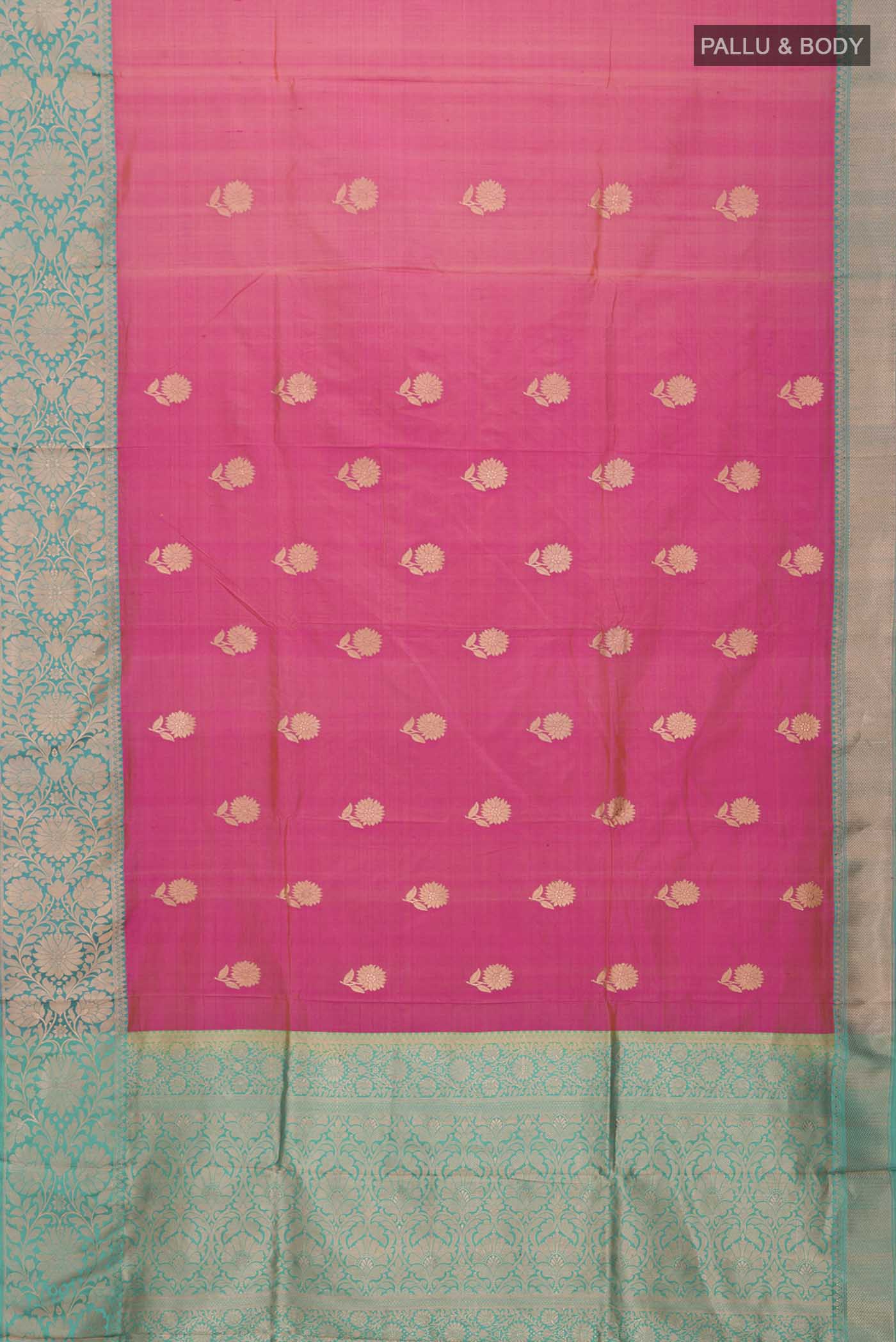pallu body