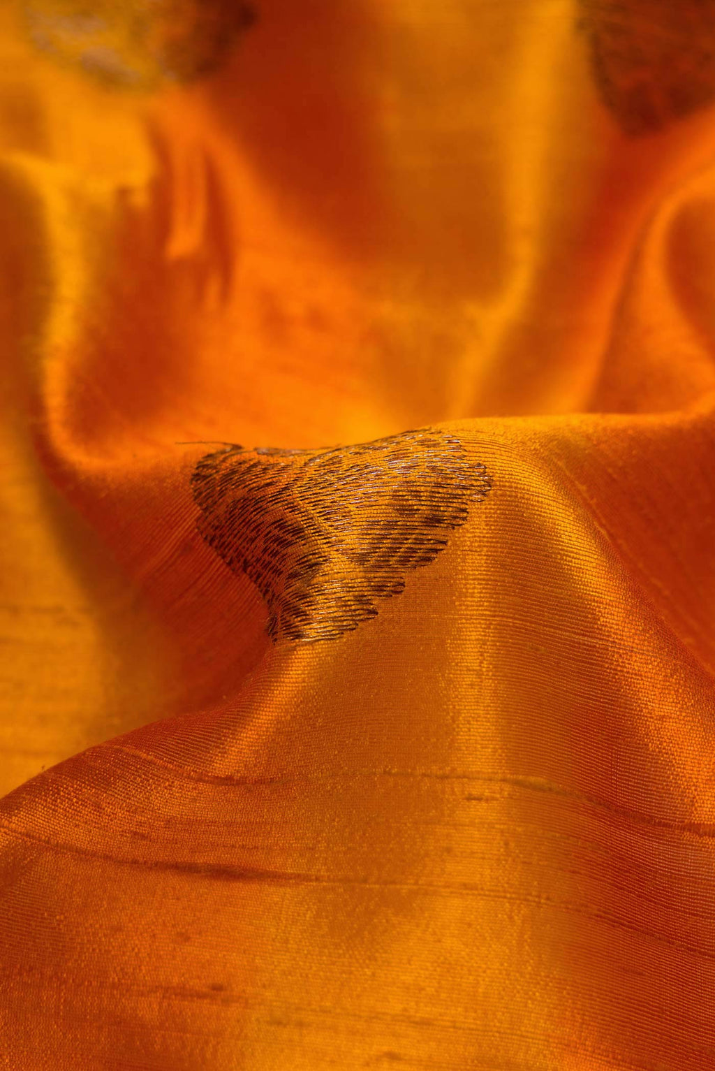 Close up of Mustard Banarasi Tussar Silk Saree with Zari Butta on the body and Zari Border displaying folds