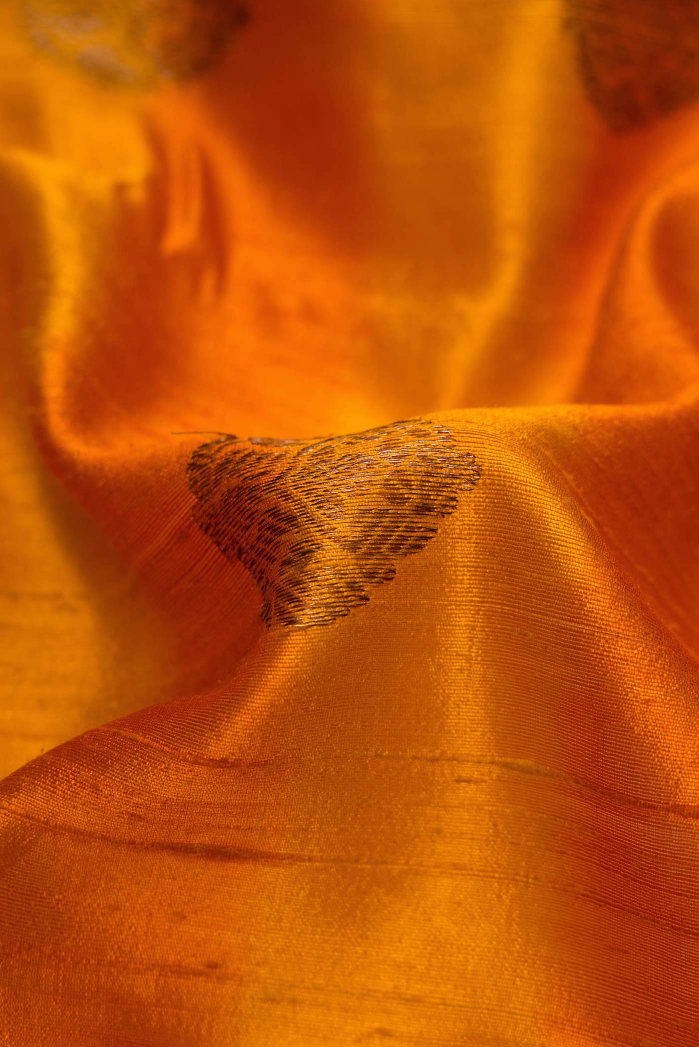 Close up of Mustard Banarasi Tussar Silk Saree with Zari Butta on the body and Zari Border displaying folds