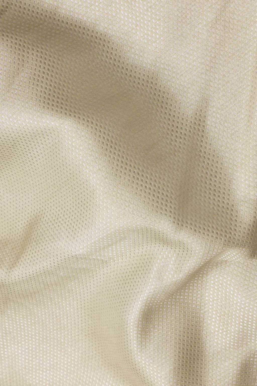 Close up of Beige Dual Tone Banarasi Silk Saree with Zari Brocade on the body and Embroidery Border.  displaying folds
