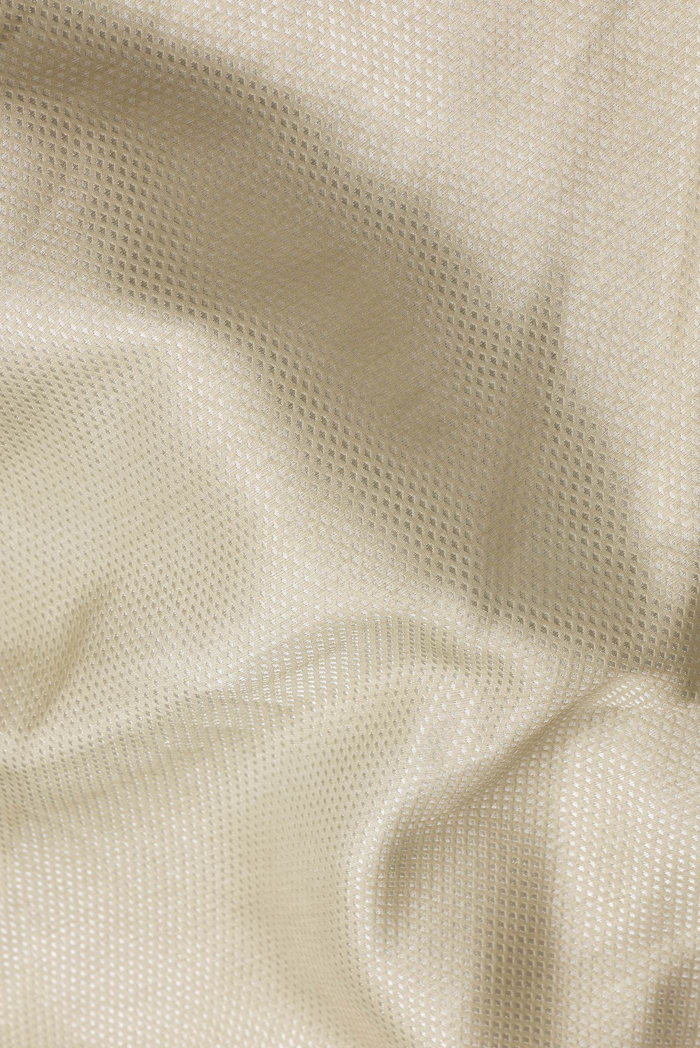 Close up of Beige Dual Tone Banarasi Silk Saree with Zari Brocade on the body and Embroidery Border.  displaying folds