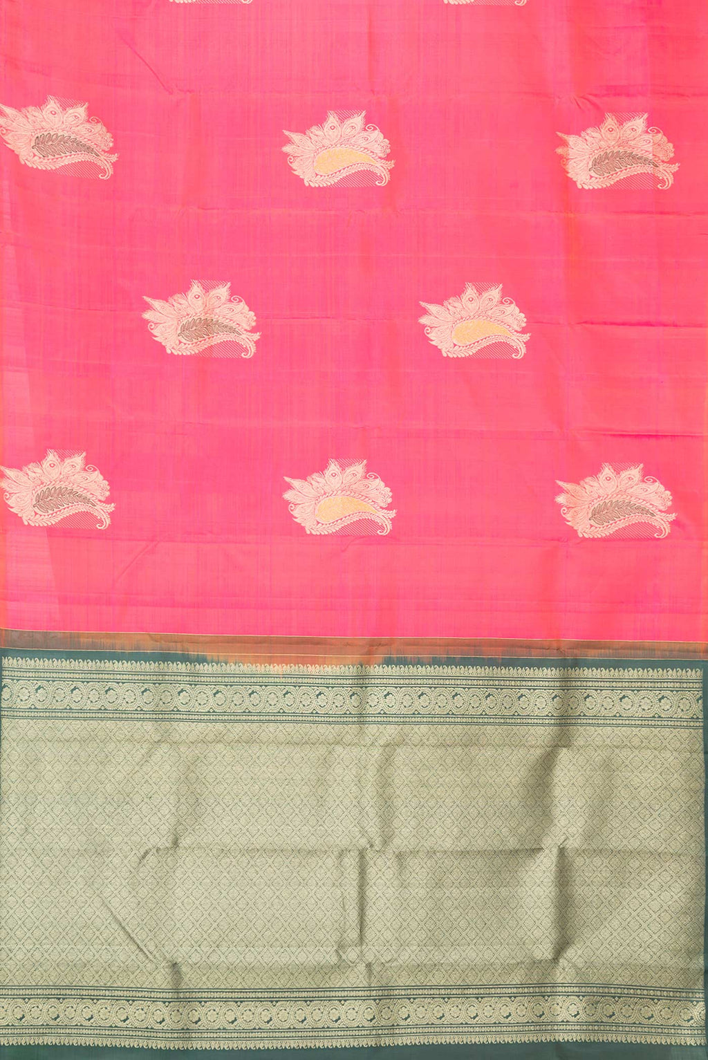 pallu body