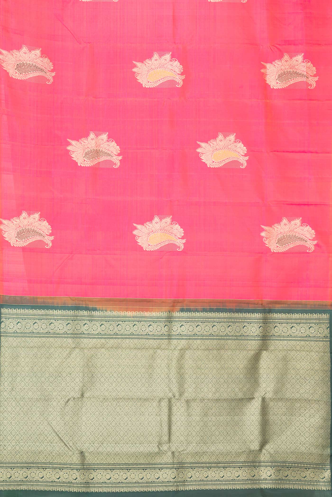 pallu body