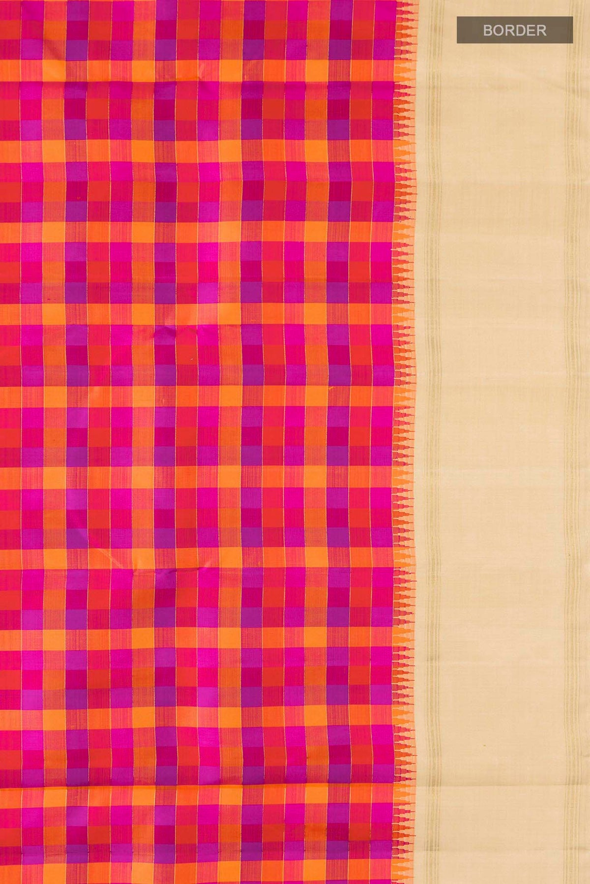 Border image of Multicolor Kanchipuram Silk Saree Checked design on the body and Zari Border