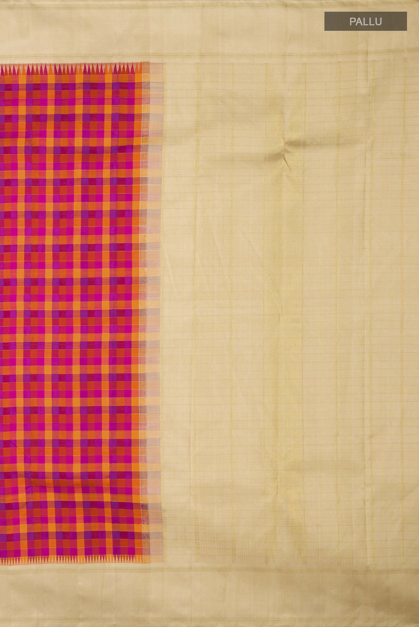 Close up image of the pallu of Multicolor Kanchipuram Silk Saree Checked design on the body and Zari Border