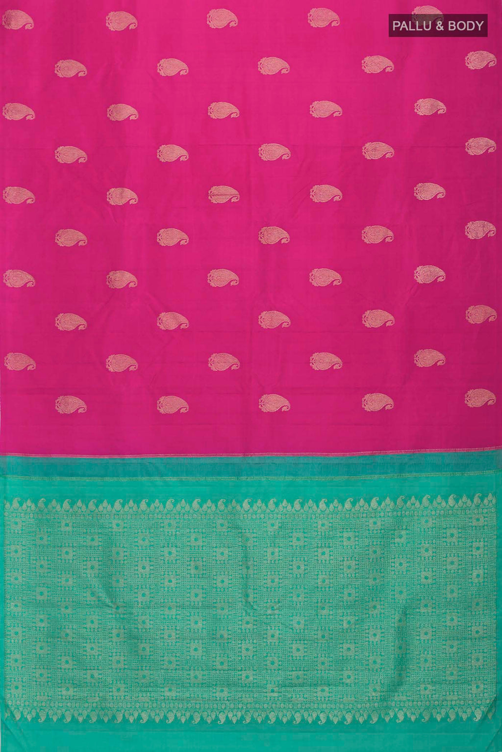 pallu body