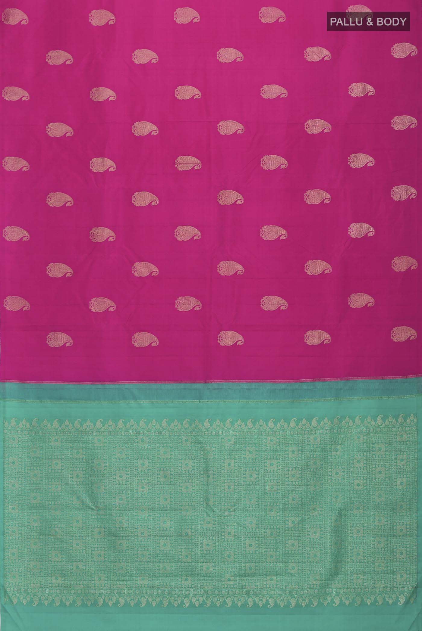 pallu body