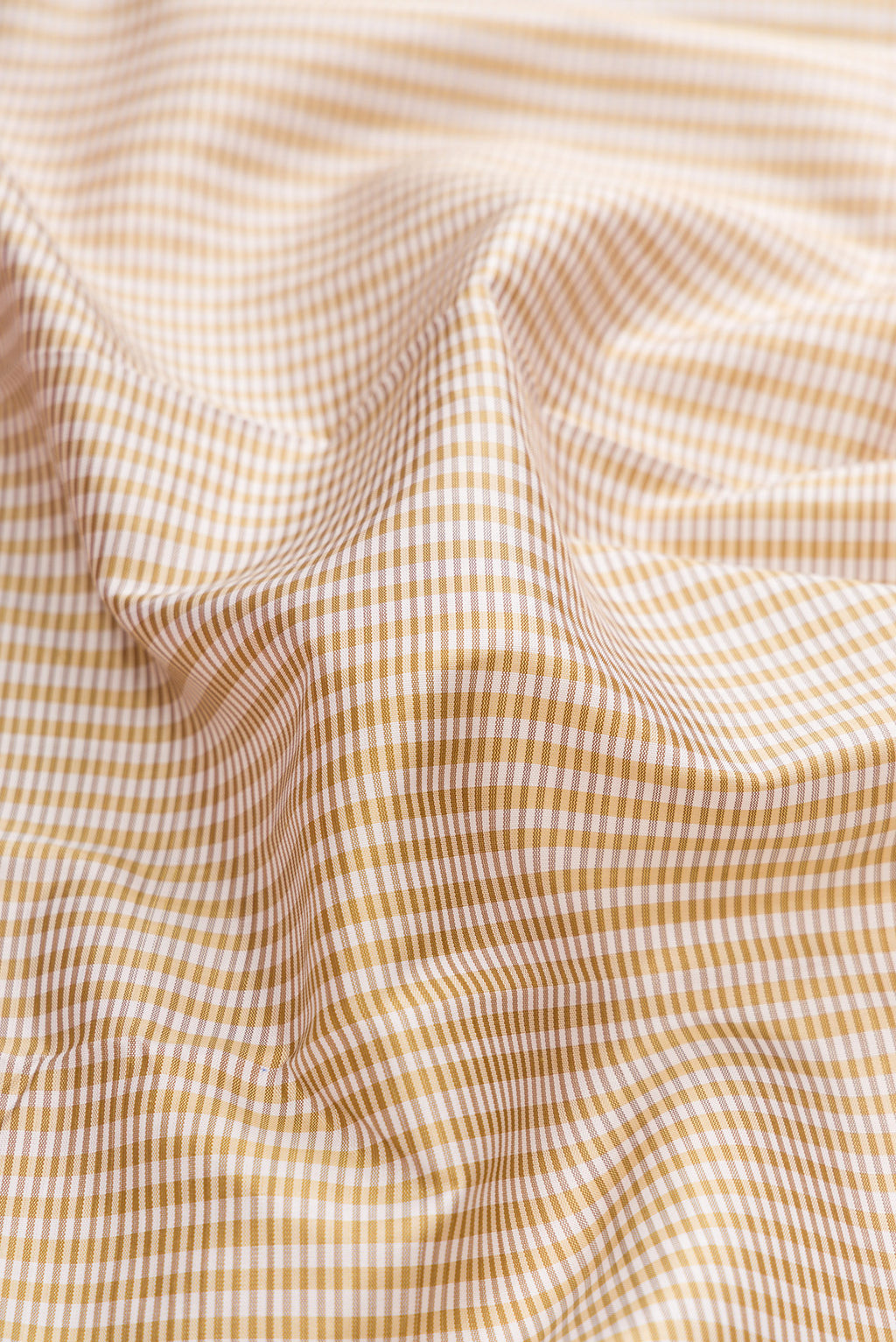 Close up of Beige Kanchipuram Silk Saree with Checked design on the body and Zari Border.  displaying folds