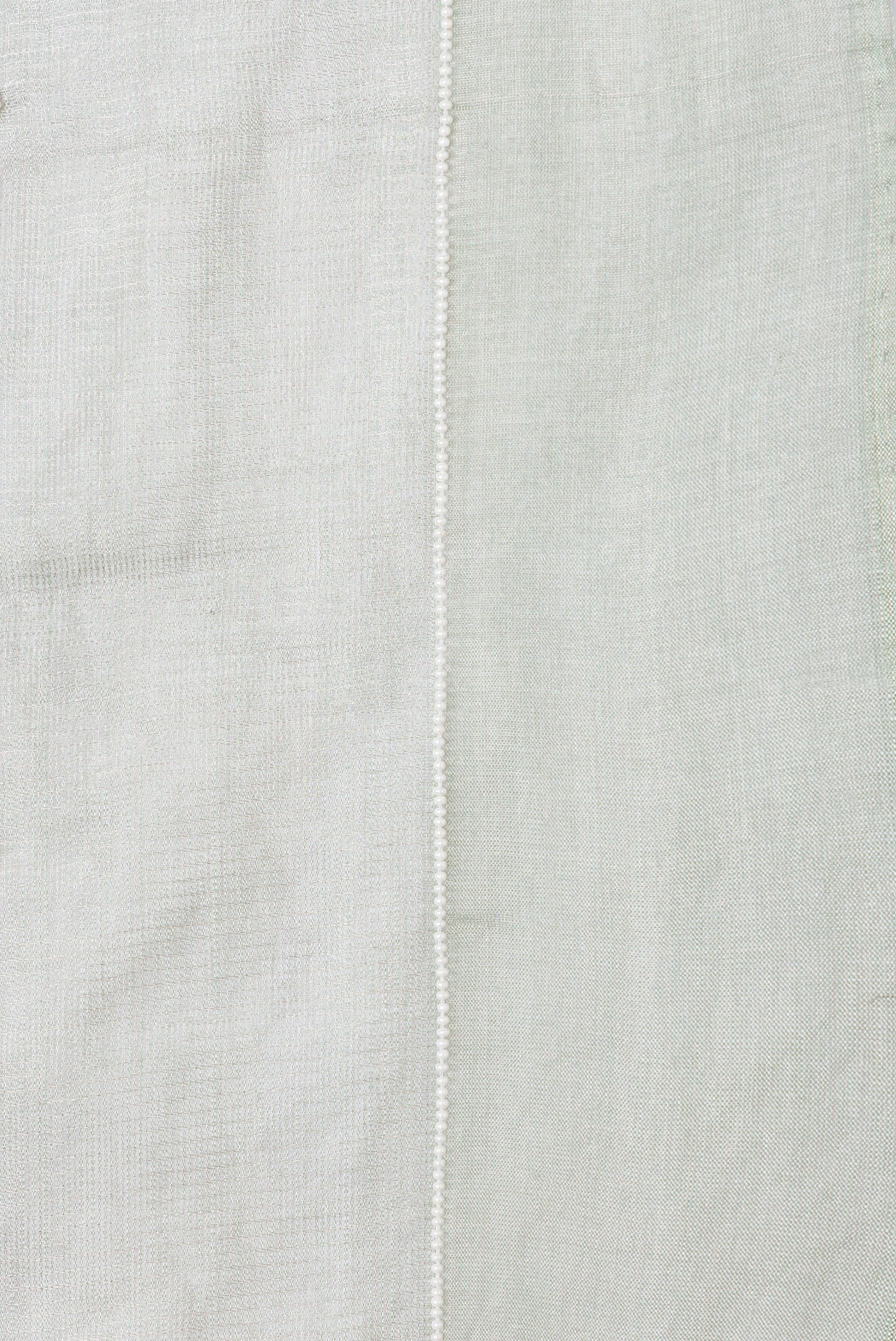 Border image of Pista Green Dual Tone Organza Silk Saree with Embroidery on the body and Embroidery Border. 