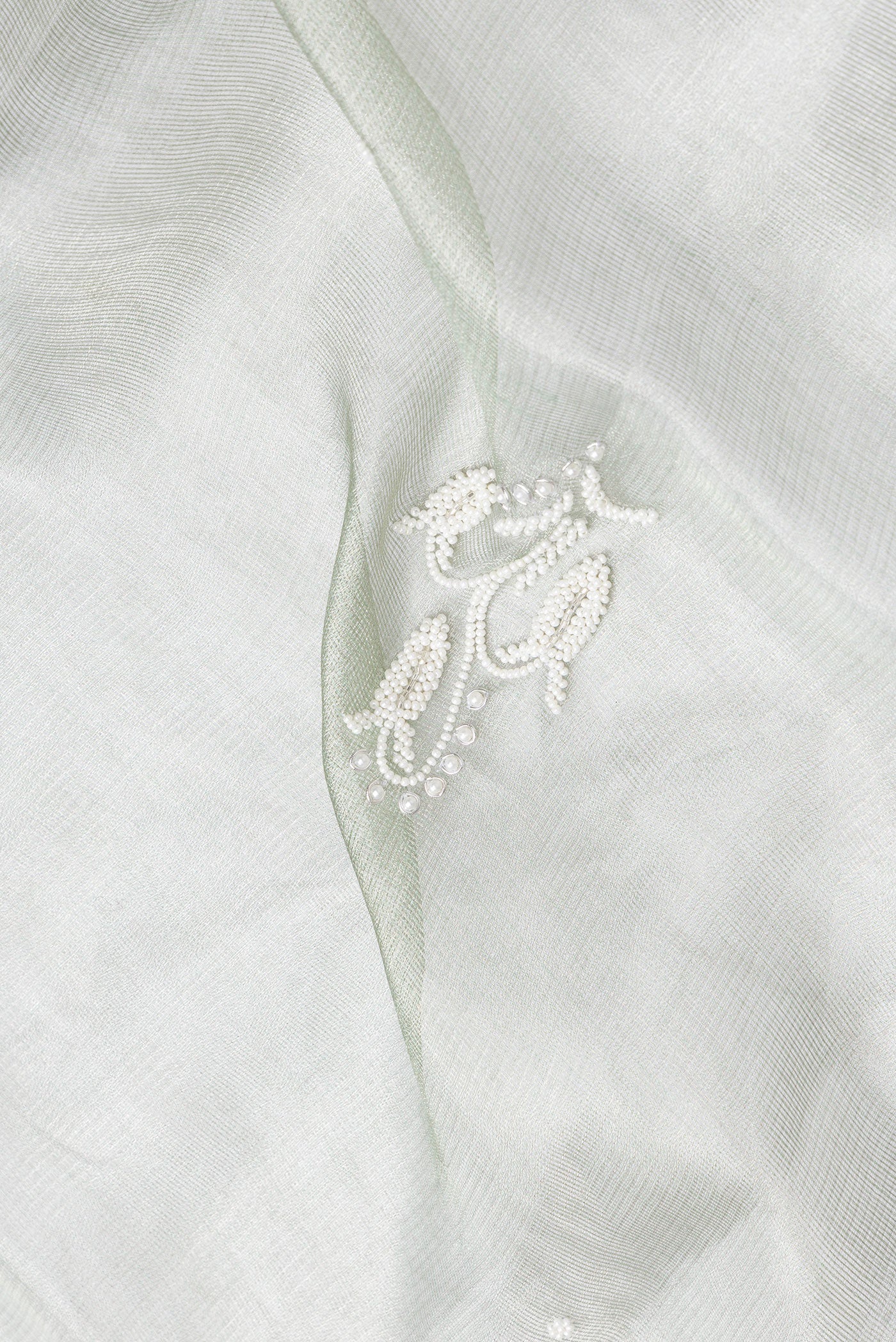 Close up of Pista Green Dual Tone Organza Silk Saree with Embroidery on the body and Embroidery Border.  displaying folds