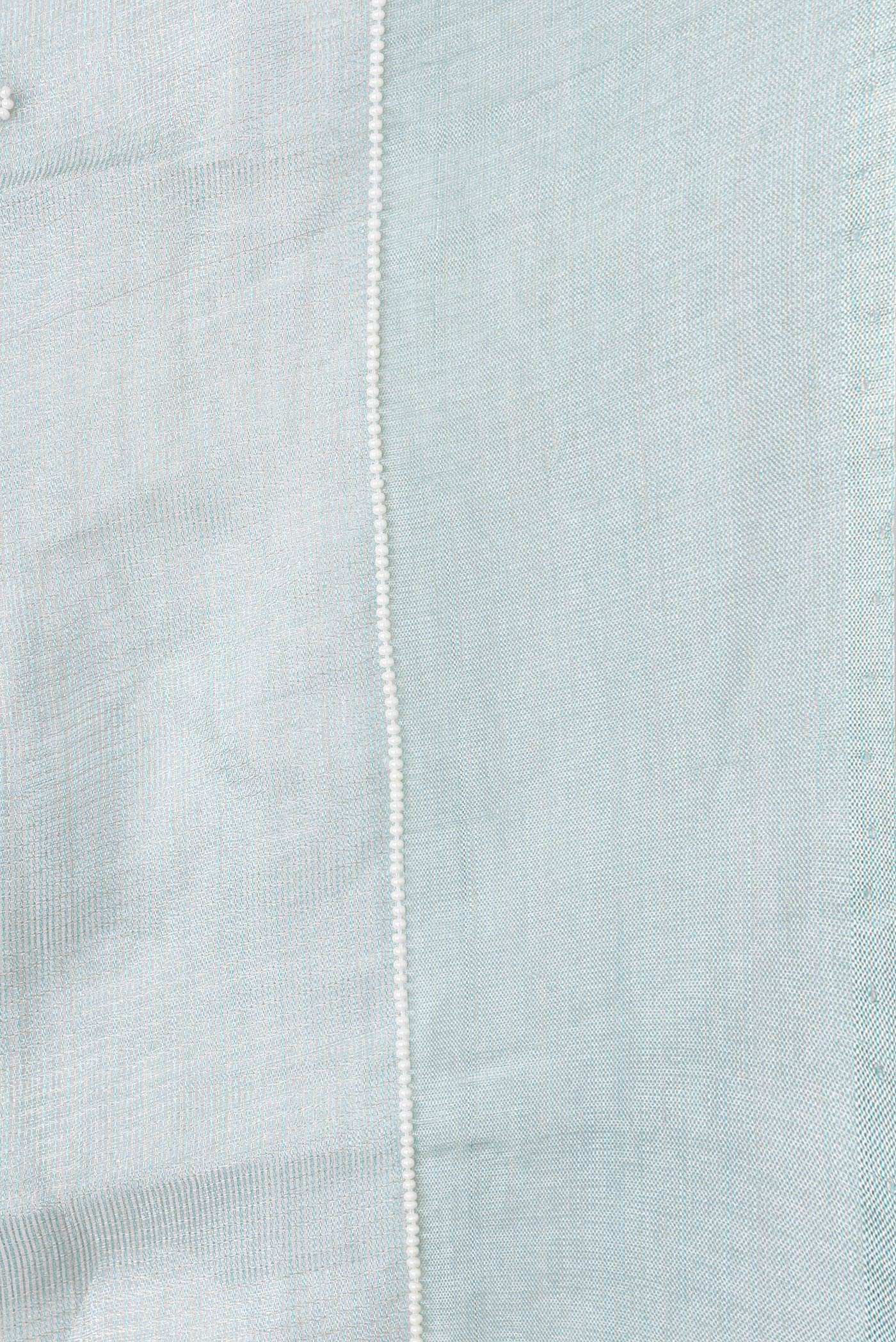 Border image of Light Green Dual Tone Organza Silk Saree with Embroidery on the body and Embroidery Border. 