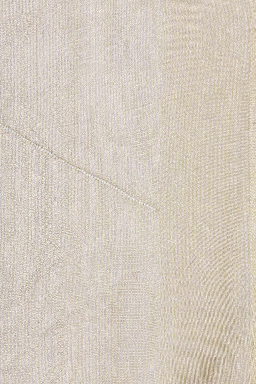 Border image of Beige Dual Tone Organza Silk Saree with Embroidery on the body and Without Border. 