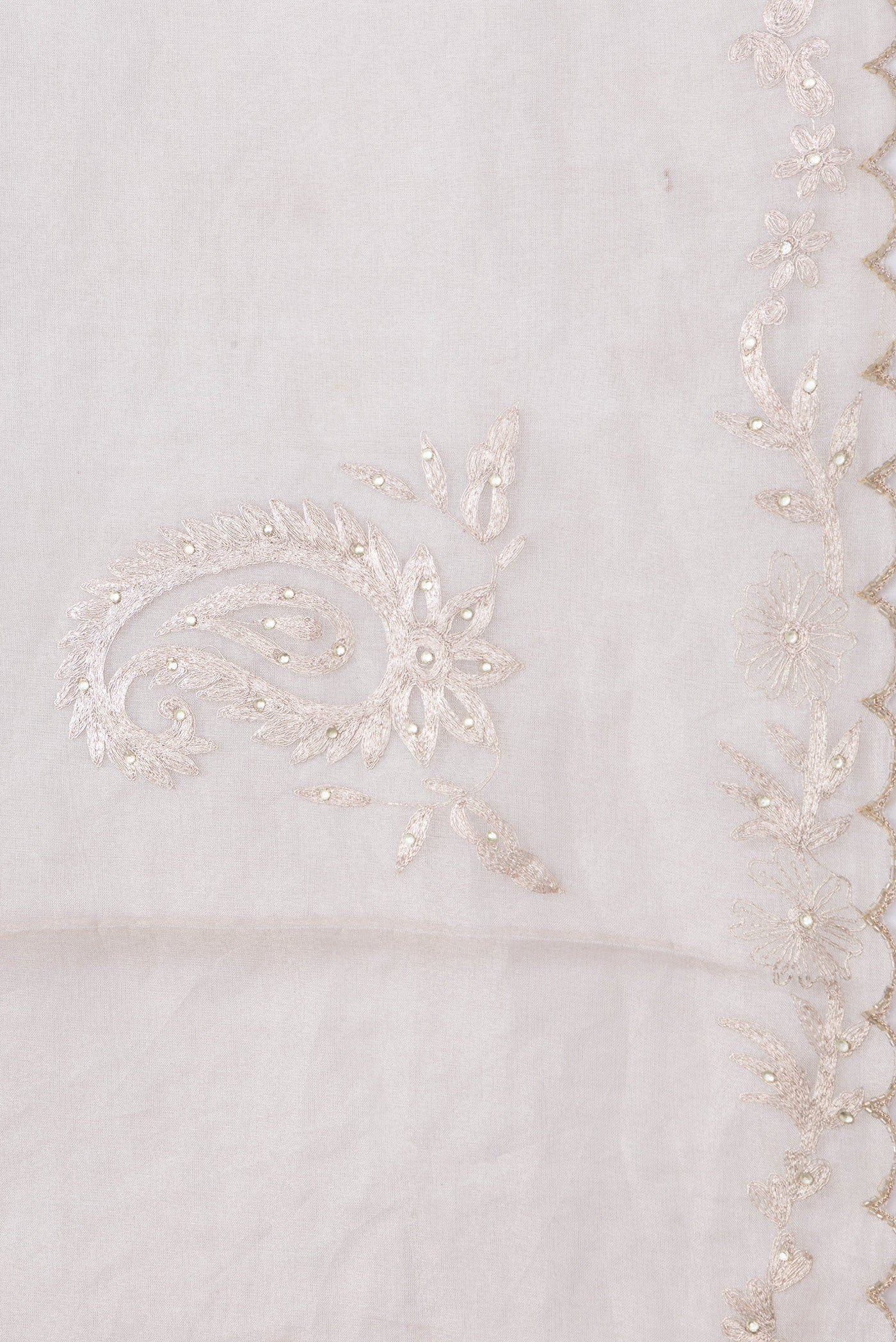 Border image of Beige Dual Tone Organza Silk Saree with Embroidery on the body and Embroidery Border. 