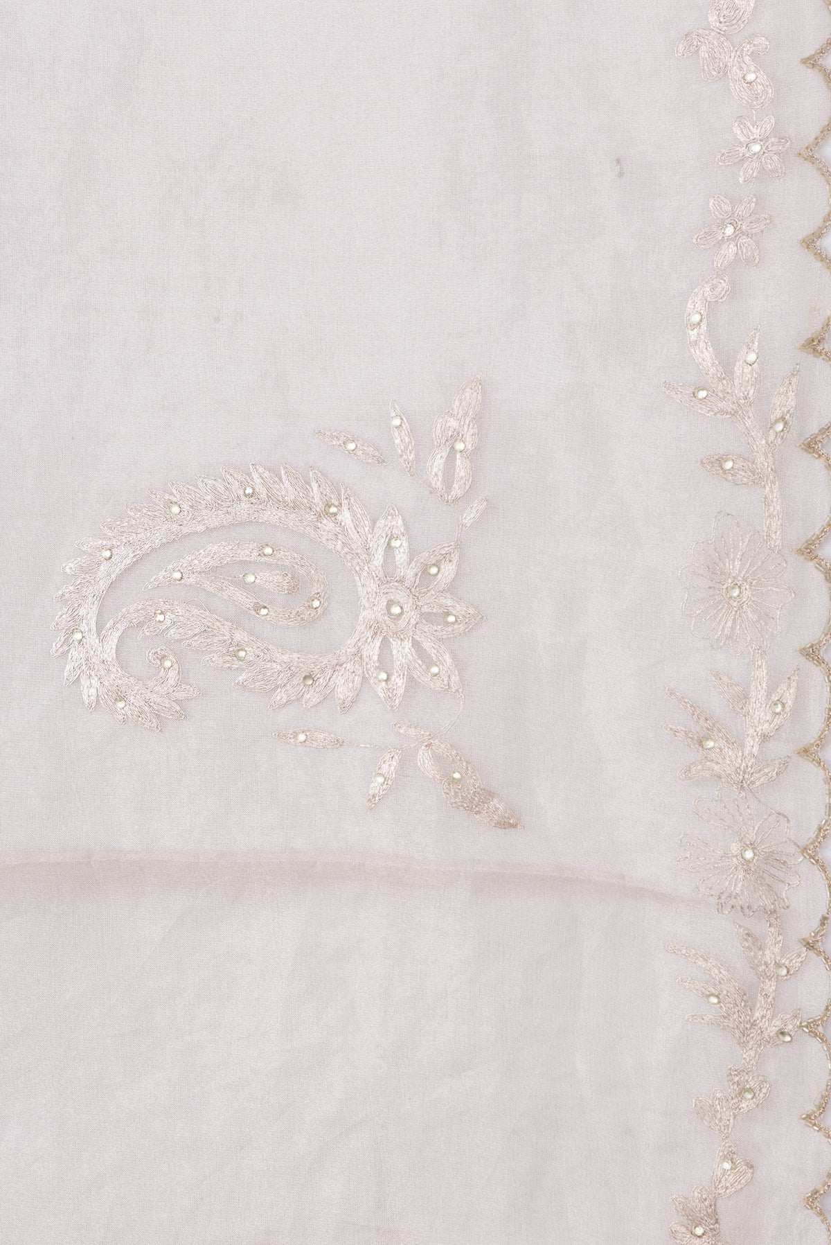 Border image of Beige Dual Tone Organza Silk Saree with Embroidery on the body and Embroidery Border. 