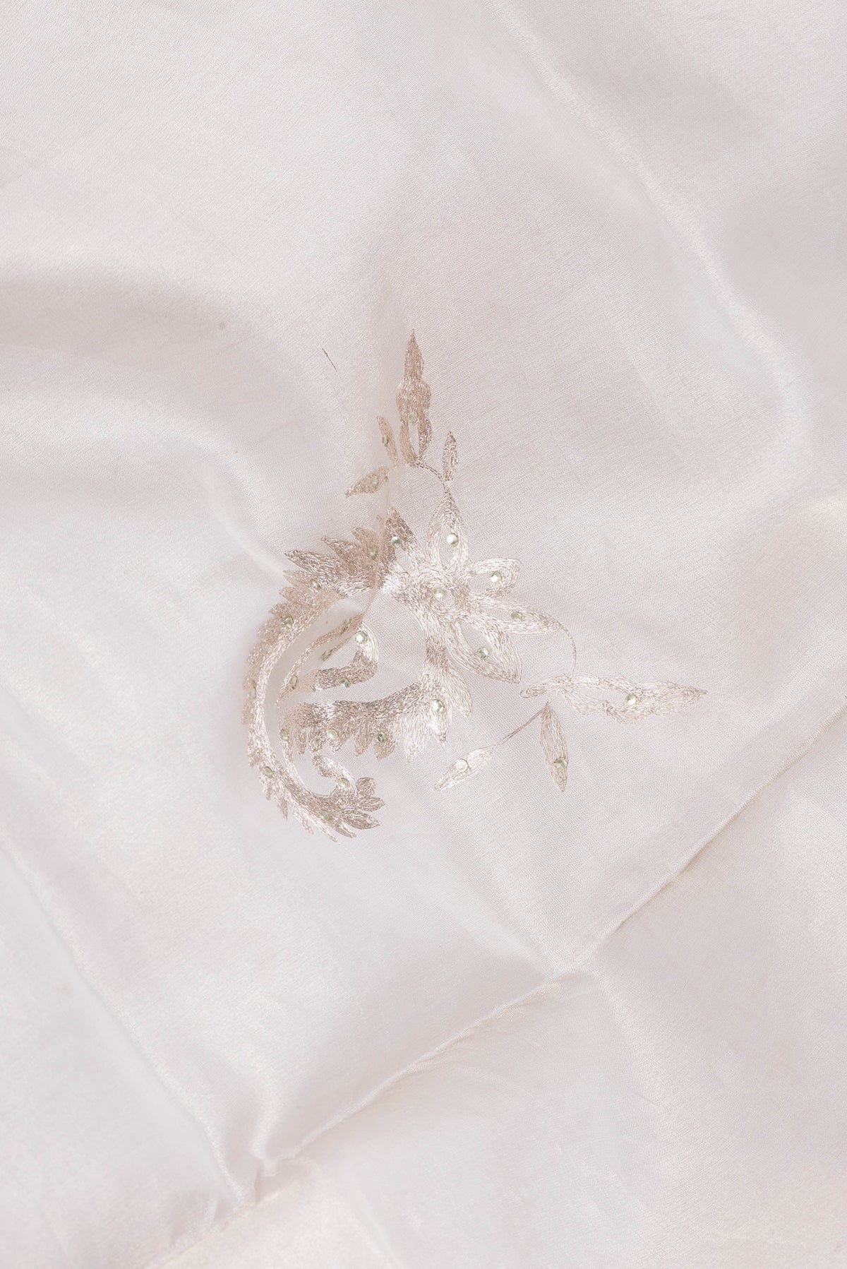 Close up of Beige Dual Tone Organza Silk Saree with Embroidery on the body and Embroidery Border.  displaying folds
