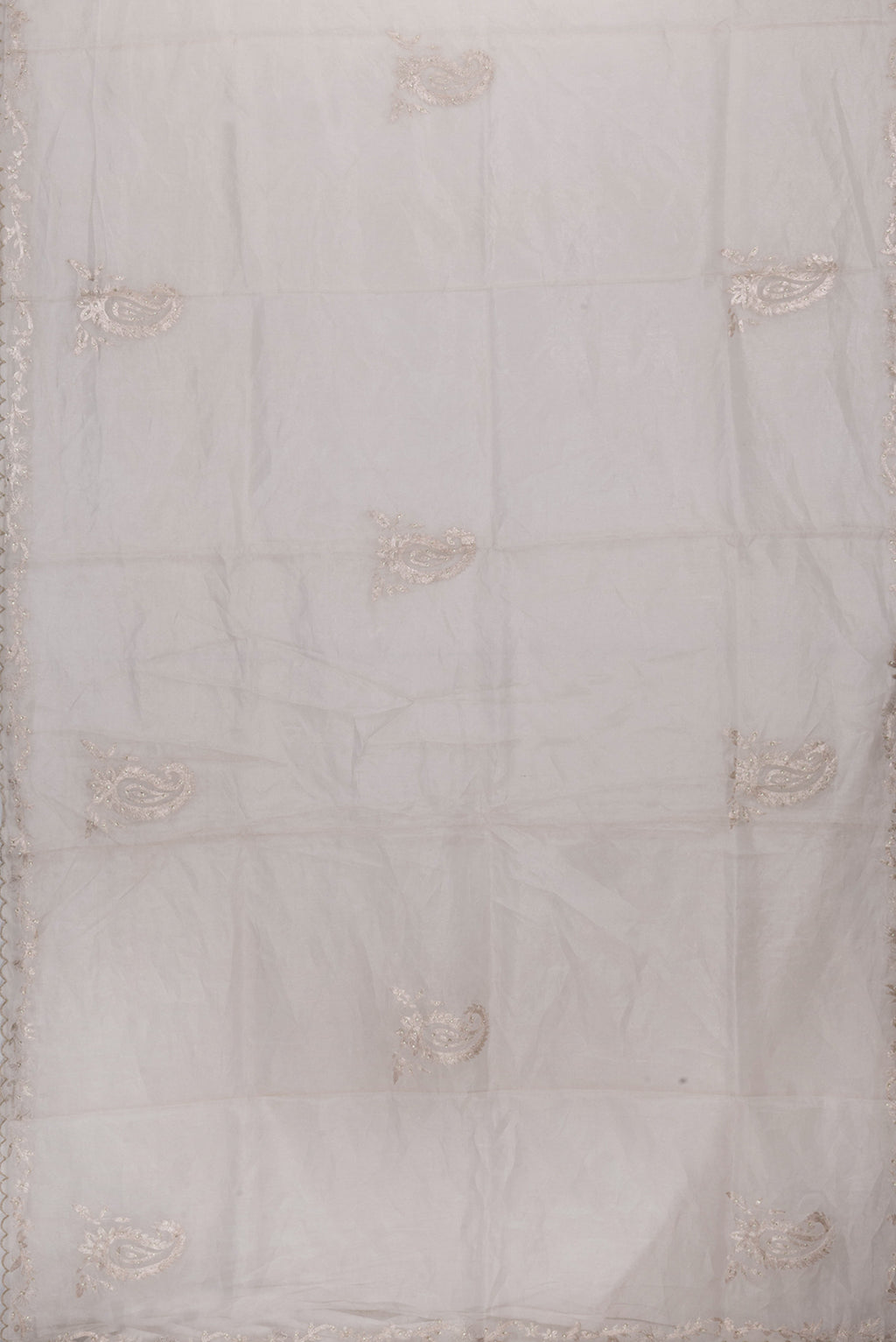 Flat view of Beige Dual Tone Organza Silk Saree with Embroidery on the body and Embroidery Border. 